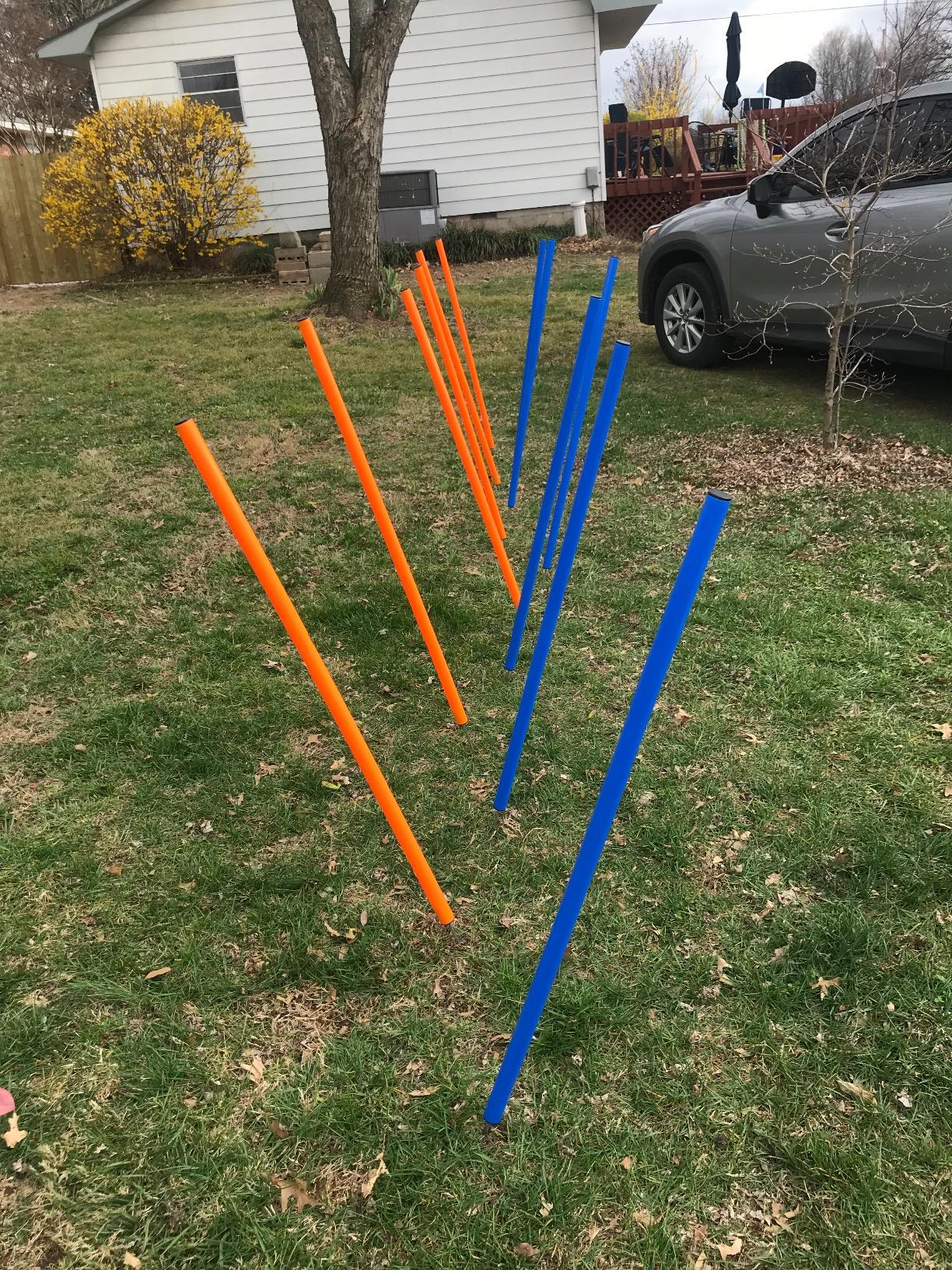 PAWISE Dog Agility Training Equipment, Puppy Agility Kit with Jump Ring, Adjustable Hurdles & Weave Poles, Outdoor Dog Obstacle Course for Backyard, Park Training, Portable Dogg Exercise Set customer photo 1