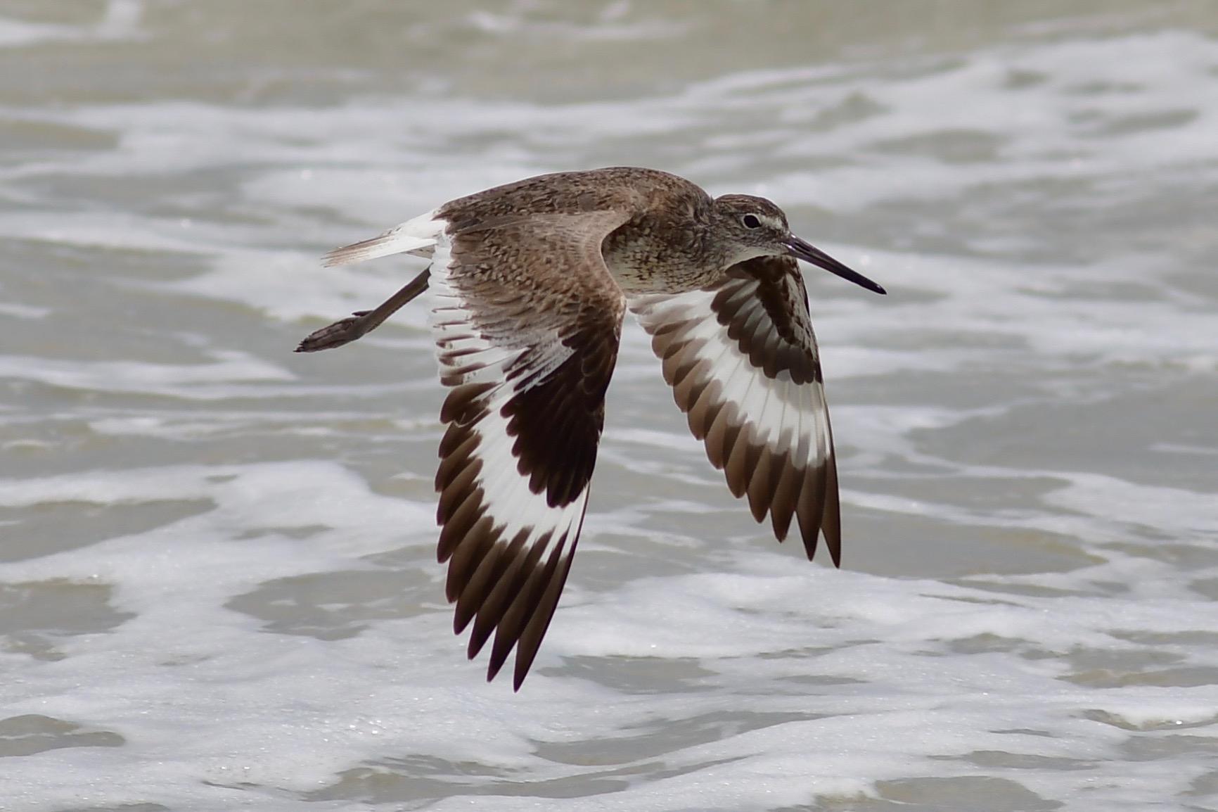 Nikon D7500 20.9MP DSLR Camera with AF-S DX NIKKOR 18-140mm f/3.5-5.6G ED VR Lens, Black customer photo 1