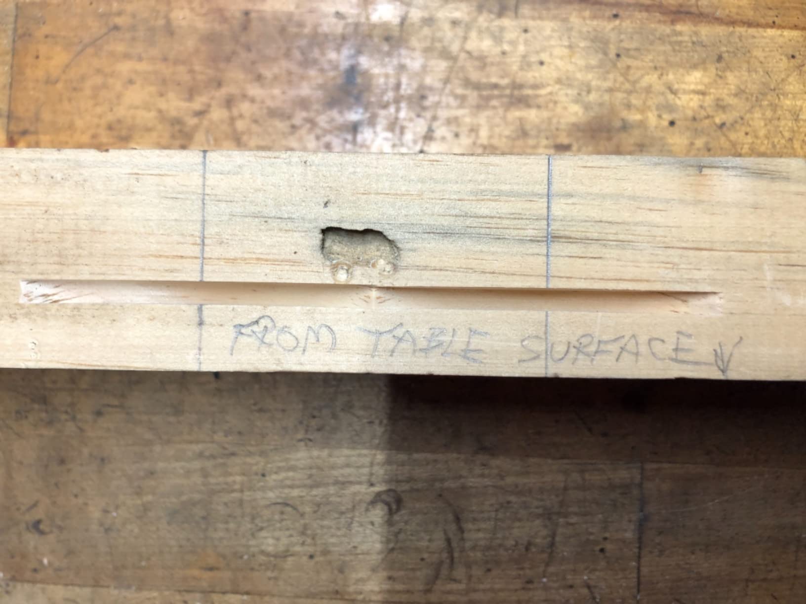 RYOBI 6 AMP Corded AC Biscuit Joiner KIT with DUST Collector and Bag JM83K customer photo 2