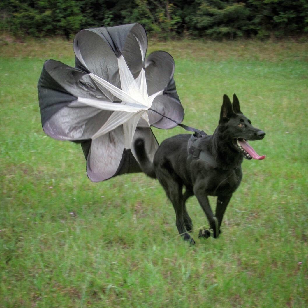 KUYOU Running Speed Training Speed Chute Resistance Parachute for Speed and Acceleration Training Fitness Explosive Power Training 56-Inch customer photo 2