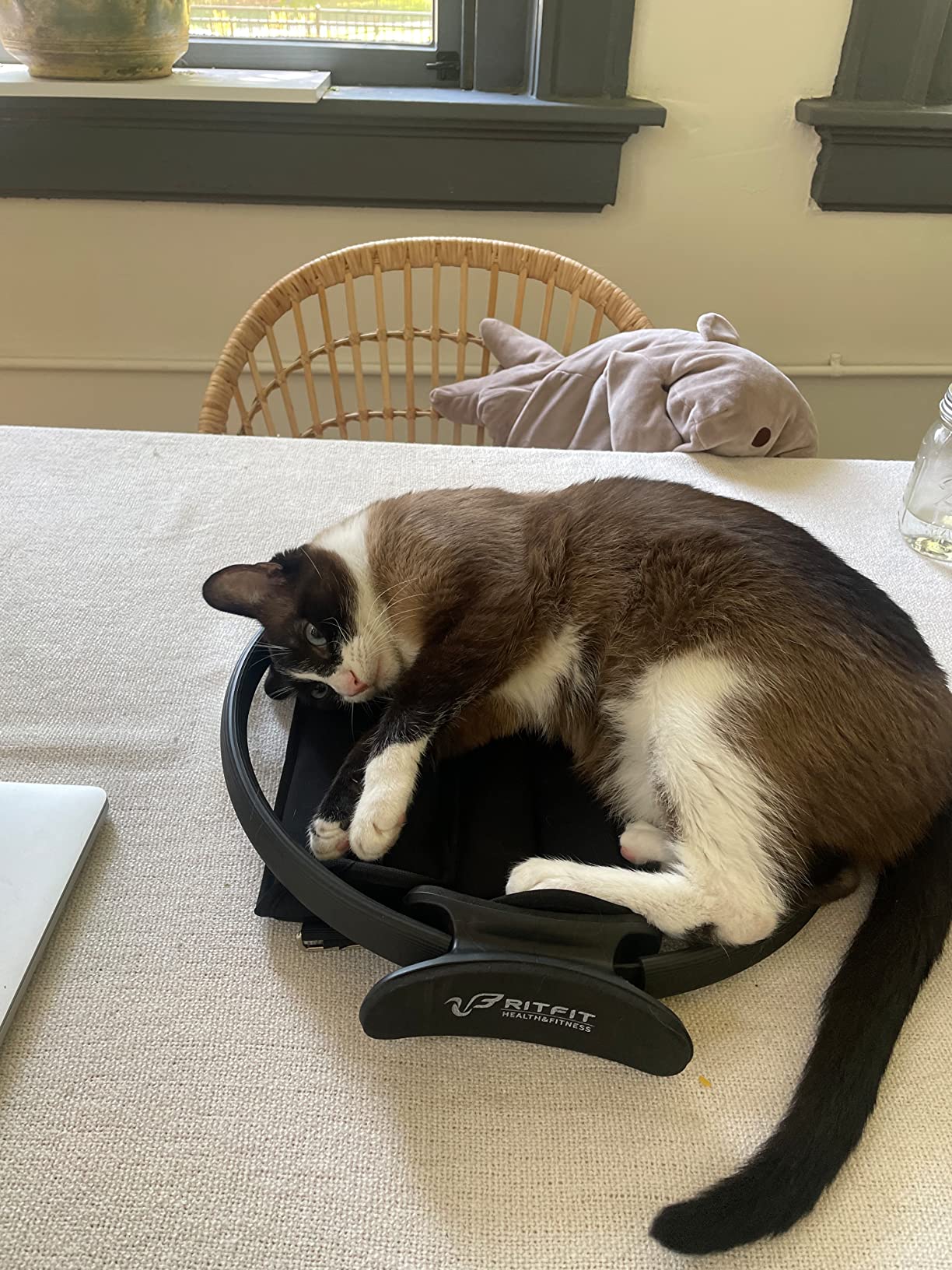 RitFit Pilates Ring Circle - 14 Inch Magic Fitness Circle for Toning Inner & Outer Thighs, Bonus Workout Guide Included customer photo 2