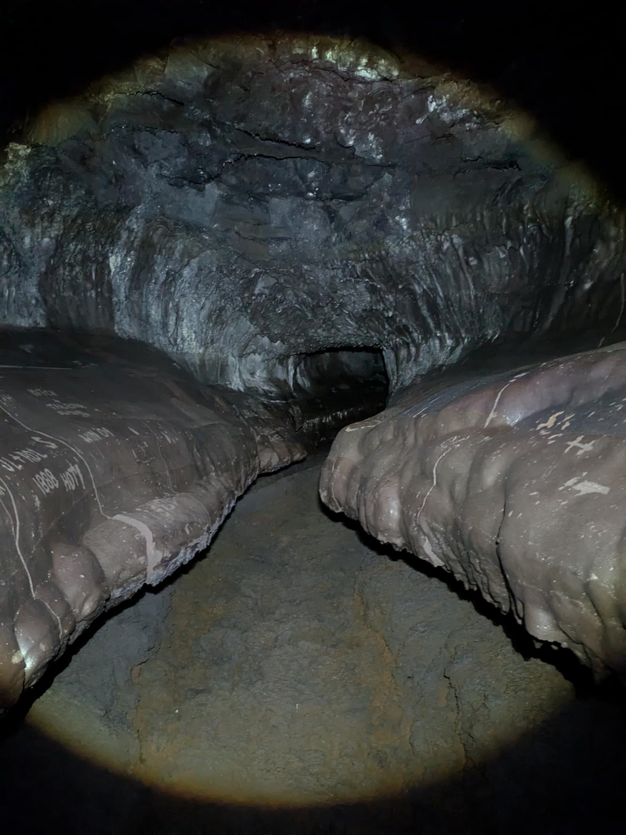 DanForce Headlamp. USB Rechargeable LED Head Lamp. Ultra Bright LUMINUS 1080 Lumen Headlamp Flashlight + Red Light. HeadLamps for Adults, Camping, Outdoors & Hard Hat Light. Zoomable IPX54 Headlight customer photo 1