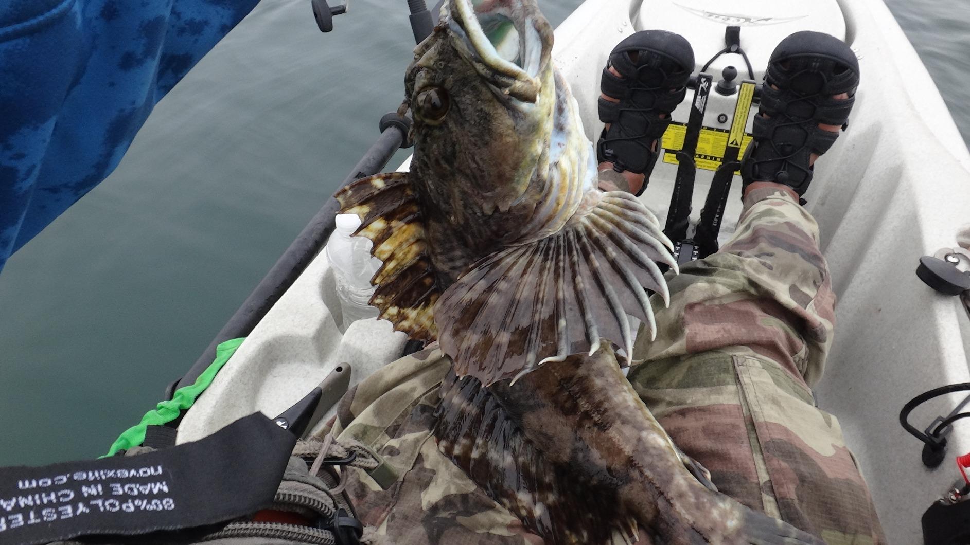 Daiwa LC Line Counter Baitcasting Reels customer photo 1