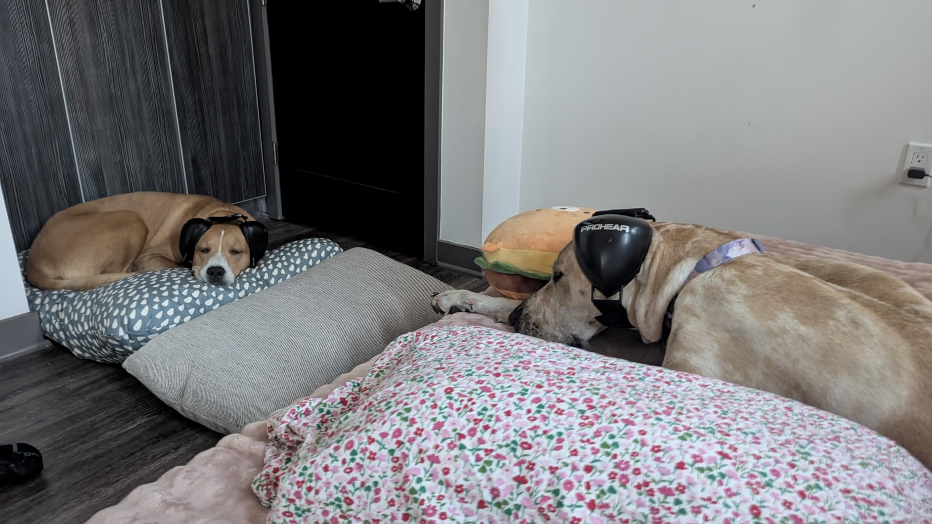 SNOOZ Smart White Noise Sound Machine - Real Fan Inside for Non-Looping White Noise, Sleep Aid for Adults, Travel, Sleeping, Bedroom, Portable, Baby Registry Essential - Cloud customer photo 1