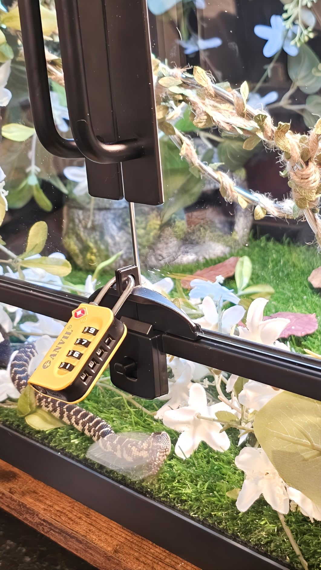 TSA Approved Luggage Lock - 4 Digit Combination, 10,000 Combinations, Easy-Read Password Window, Travel Lock for Suitcases, Backpacks, Gym & Student Lockers, Baggage customer photo 1