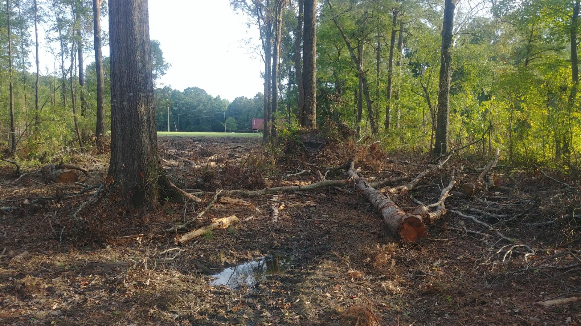 Ameristep Care Taker Kick Out Pop-Up Ground Blind, Premium Hunting Blind customer photo 1