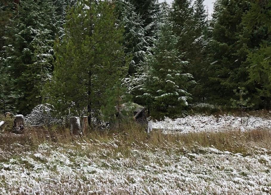 Ameristep Care Taker Kick Out Pop-Up Ground Blind, Premium Hunting Blind customer photo 2