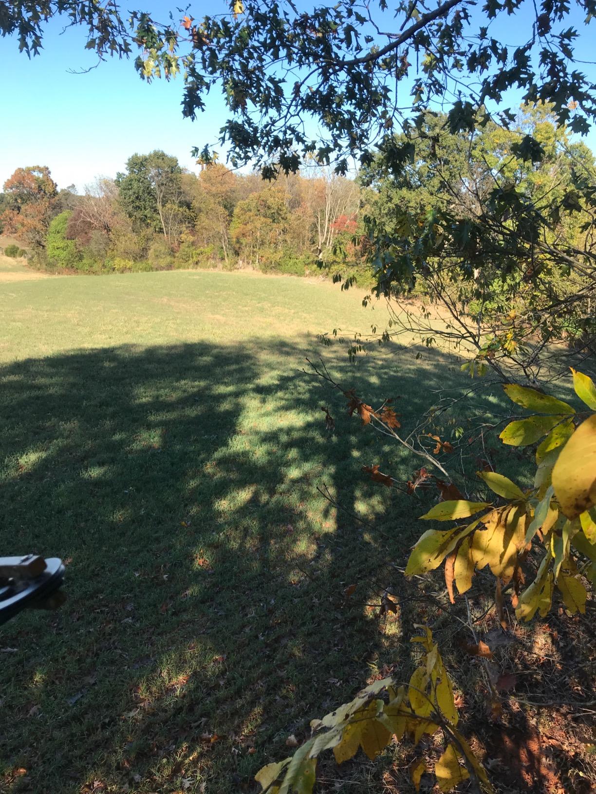 Summit Treestands Viper Steel Climbing Treestand customer photo 1