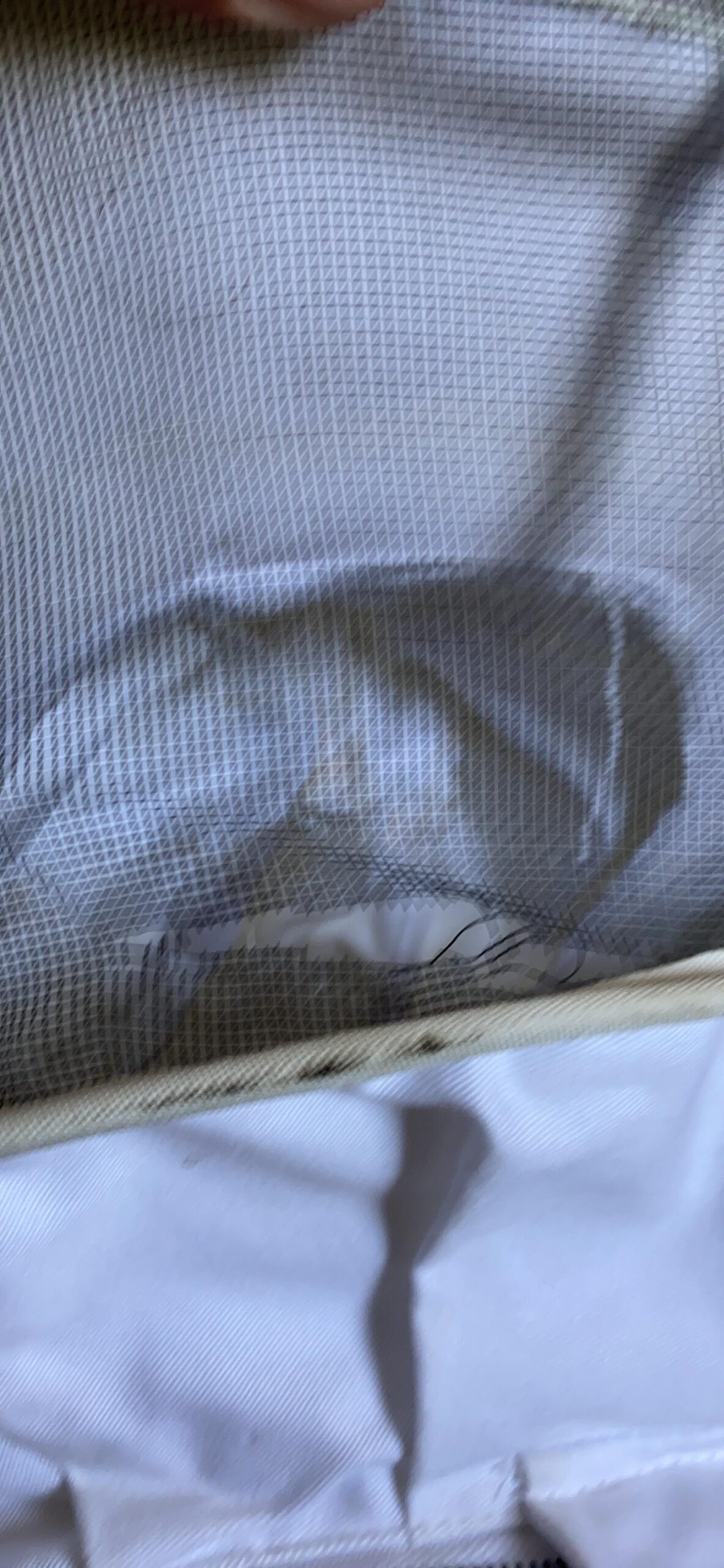 Professional Bee Suit for Men and Women, Beekeeping Suit with Bee gloves, 100% Cotton Beekeeping Suits Outfit for Hobbyists, Backyard & Commercial keepers - XL customer photo 2