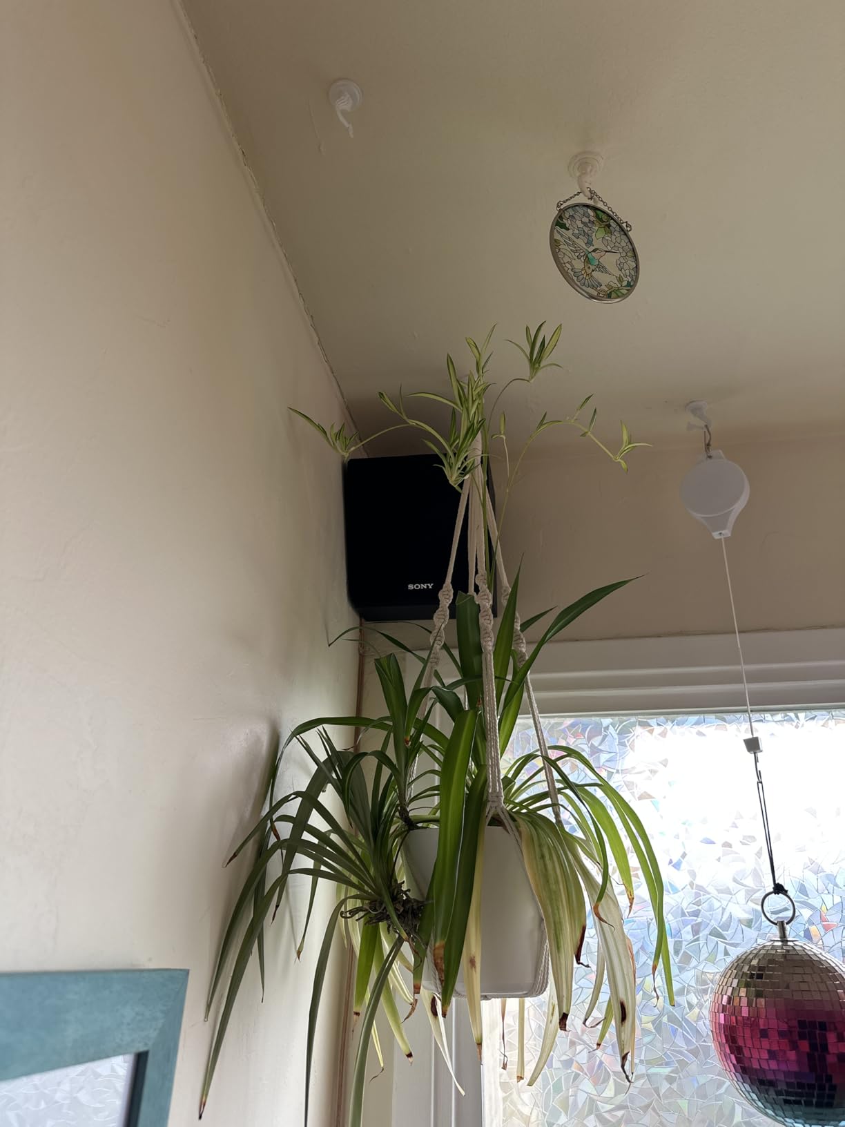 Sony SSCSE Dolby Atmos Enabled Speakers, Black (Pair), 4 Inch (Pack of 2) customer photo 2