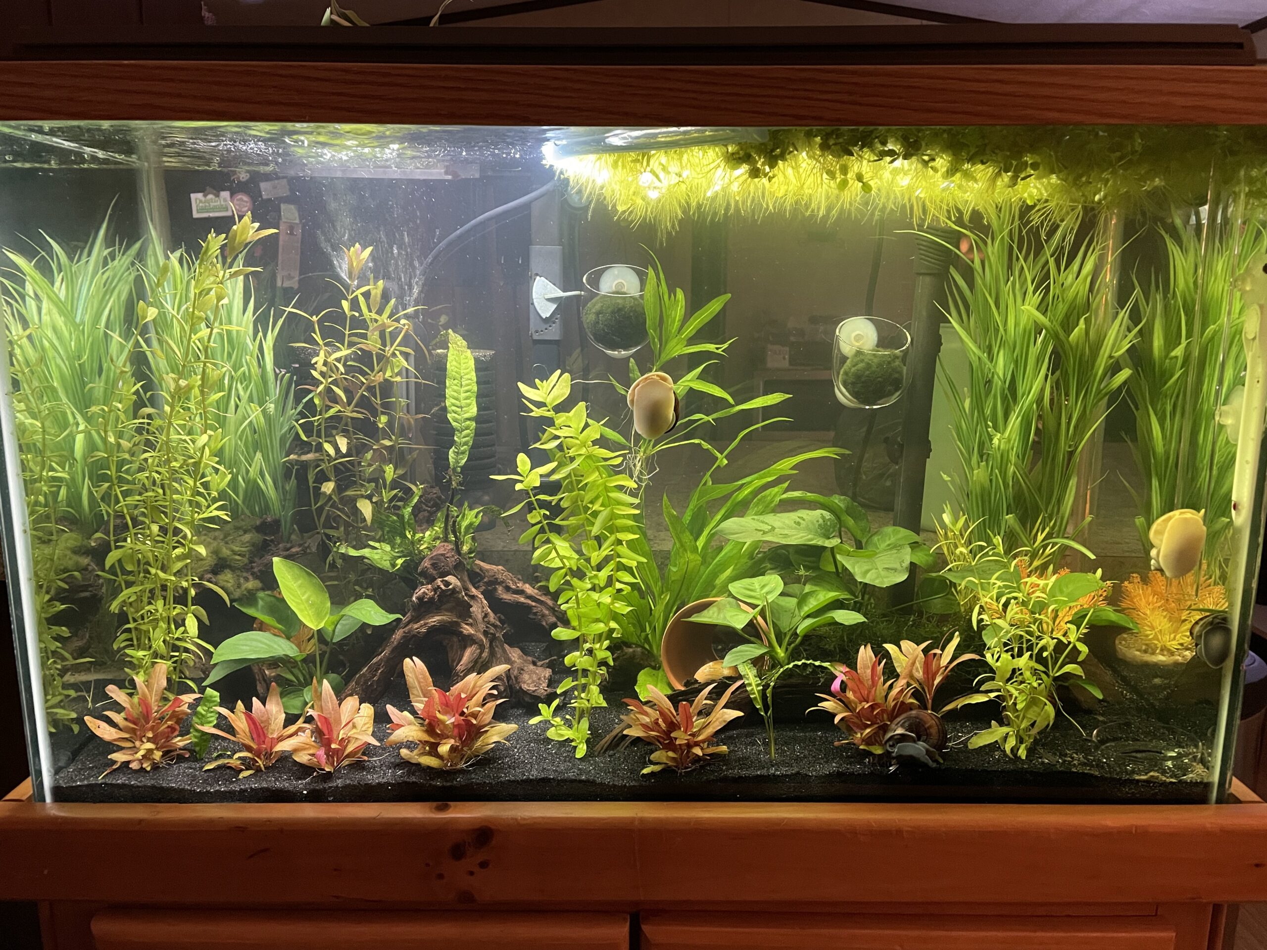 Fluval Aquasky 2.0 Bluetooth LED Aquarium Light - 18W, 24-36 inches | RGB + 6500K White | App Controlled customer photo 1