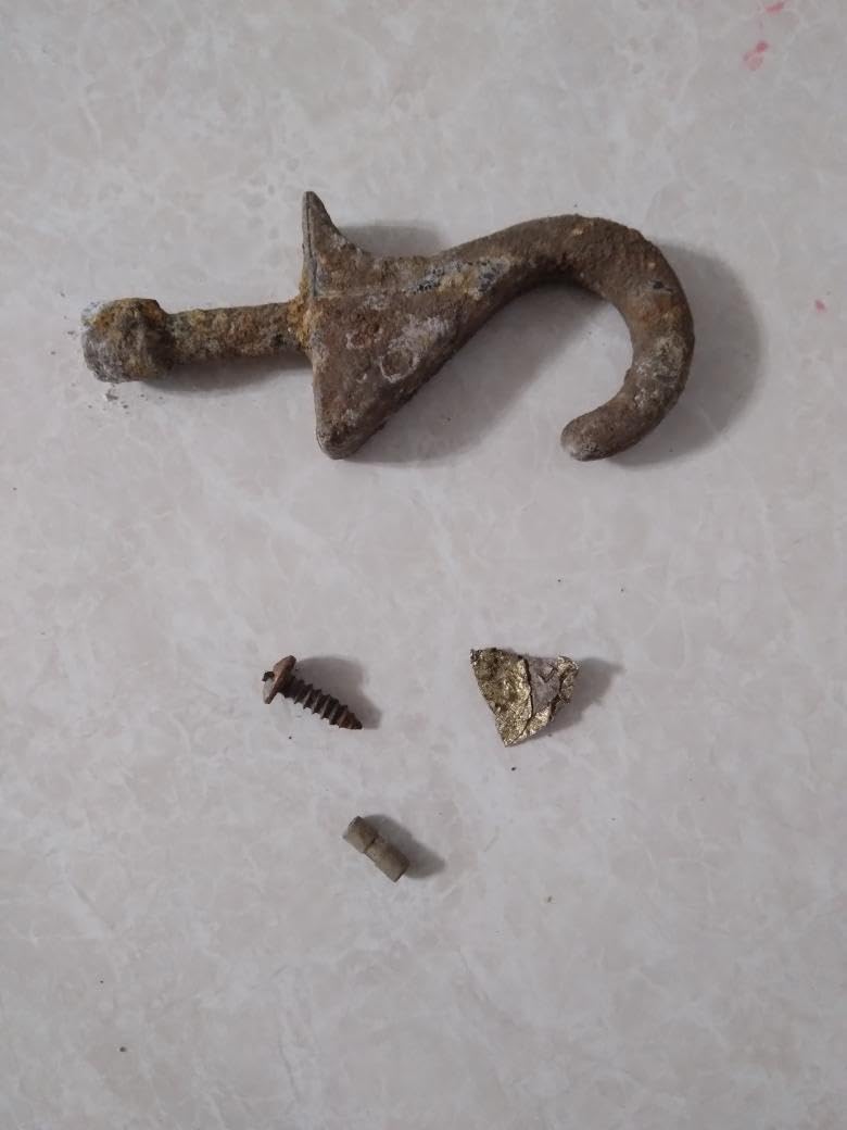 Garrett ACE 300 Metal Detector for Adults - Made in The USA - Waterproof Coil and Headphone Plus Accessories customer photo 2