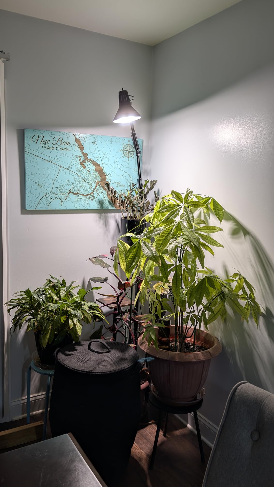 SANSI Grow Lights for Indoor Plants, Full Spectrum 36W Grow Light Bulbs (400 Watt Equiv) with Optical Lens for High PPFD, PPF 65.6 umol/s LED Energy Saving Plant Light for Indoor Growing Seed Starting customer photo 1