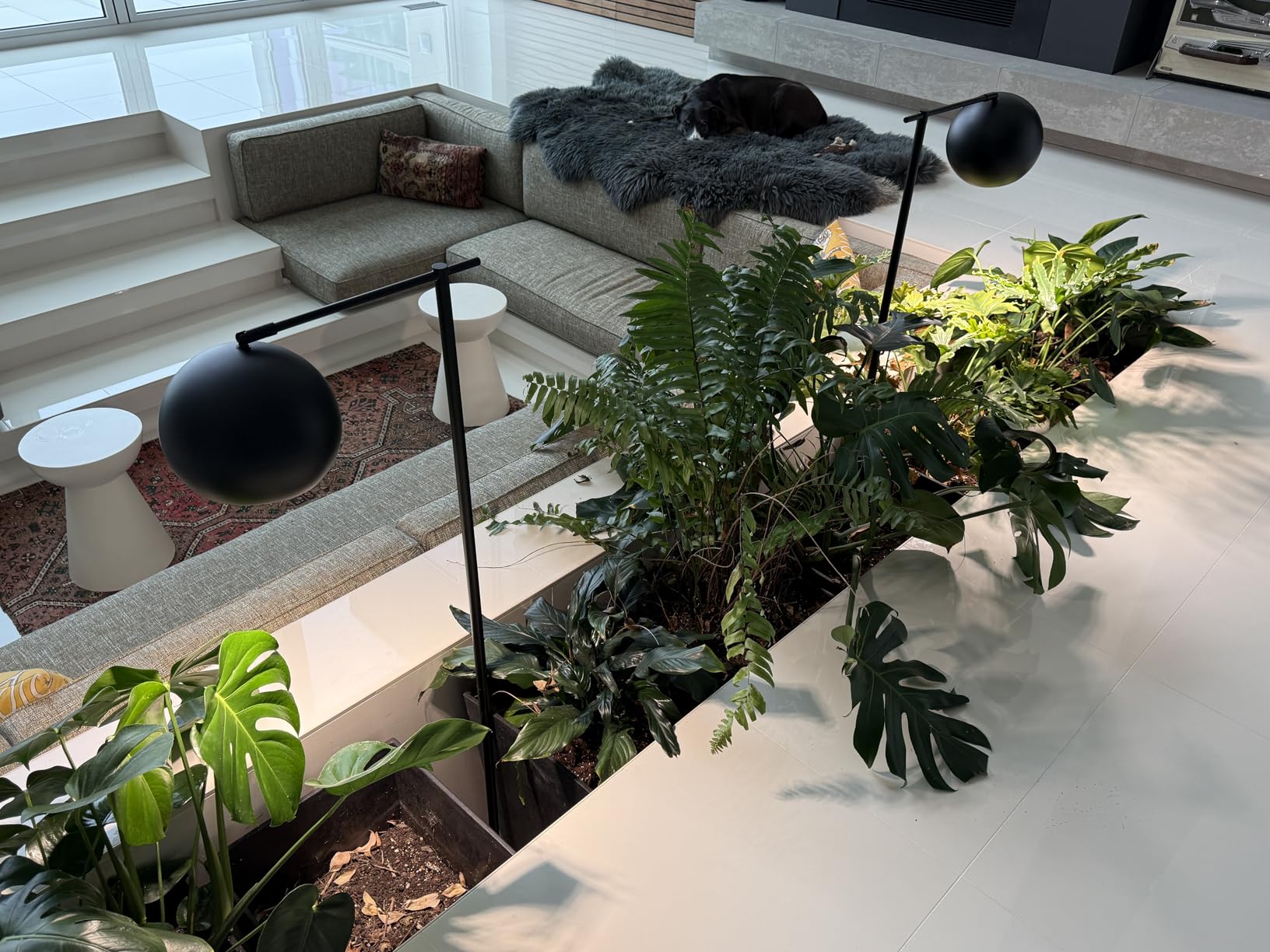 SANSI Grow Lights for Indoor Plants, Full Spectrum 36W Grow Light Bulbs (400 Watt Equiv) with Optical Lens for High PPFD, PPF 65.6 umol/s LED Energy Saving Plant Light for Indoor Growing Seed Starting customer photo 2