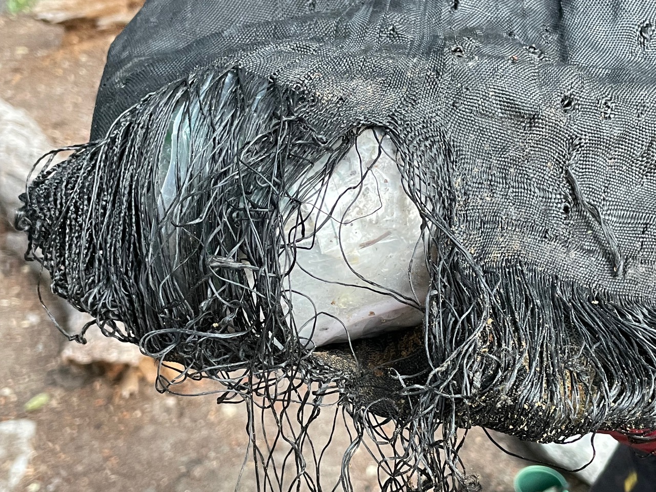 Ursack Major - Bear Resistant Food Sack - Bear Proof Container - 8