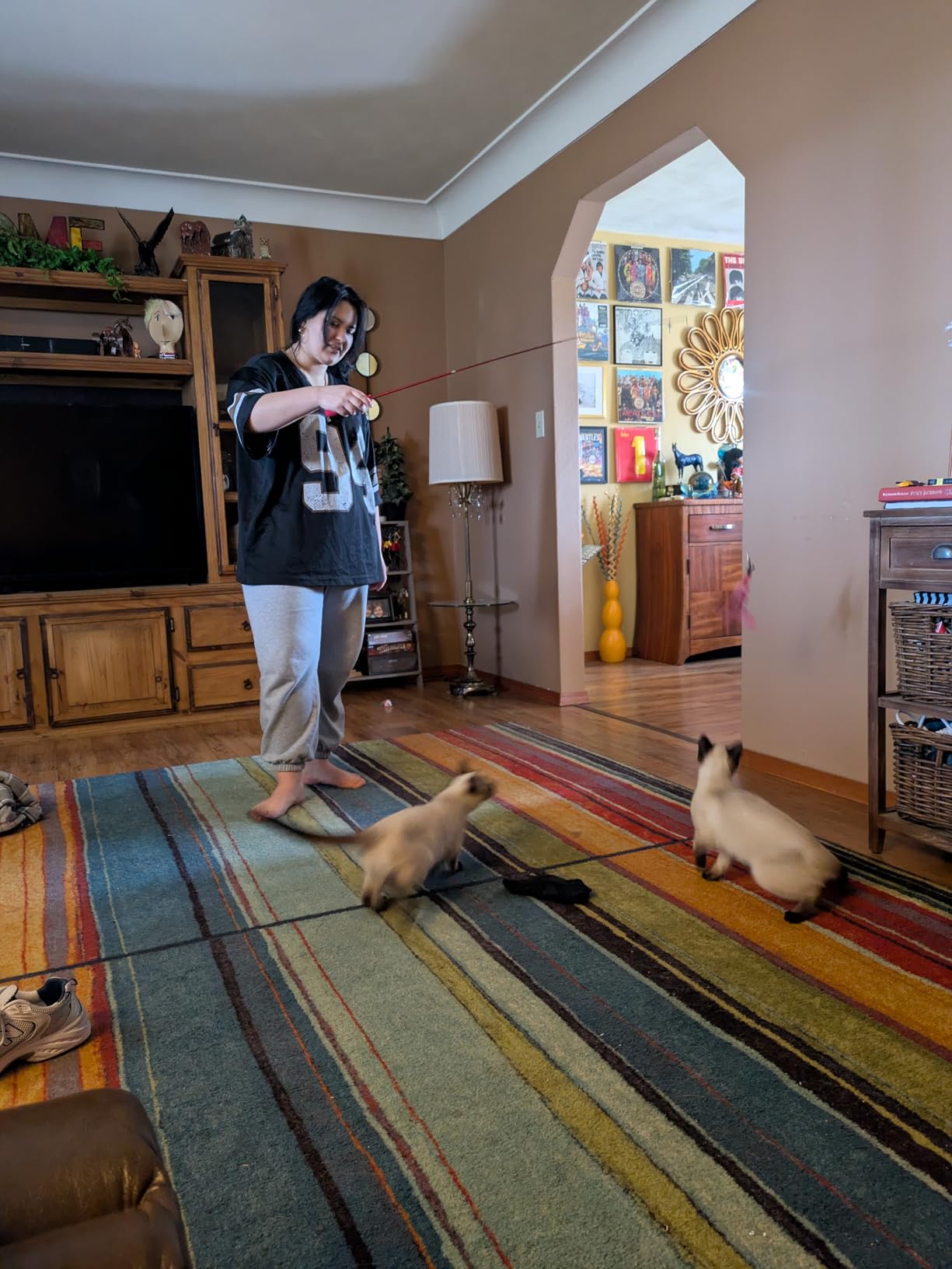 Cat Toys for Indoor Cats, Interactive Cat Toy 2PCS Retractable Wand Toy and 9PCS Cat Feather Toys Refills, Funny Kitten Toys Cat Fishing Pole Toy customer photo 2