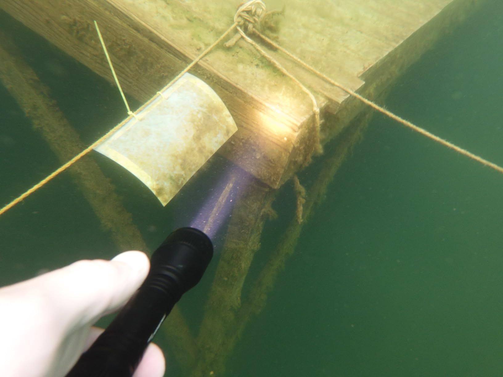 ORCATORCH D550 Dive Light 1000 Lumens Scuba Diving Flashlight 3 Modes IP68 Waterproof Underwater Lights Night Dive Submarine Torch with Wrist Mount for Outdoor Exploration Under Water Sports customer photo 2