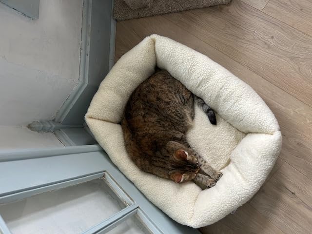 Amazon Basics Anti-Slip Self-Warming Pet Bed For Cat or Dog, Rectangle, Grey, 24