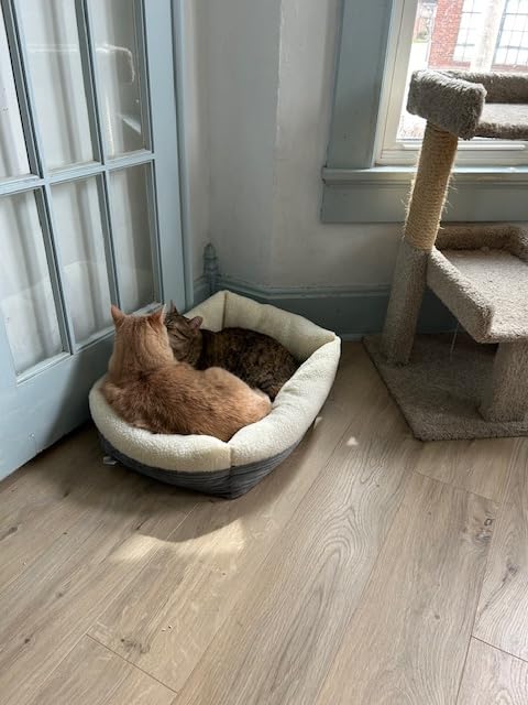 Amazon Basics Anti-Slip Self-Warming Pet Bed For Cat or Dog, Rectangle, Grey, 24