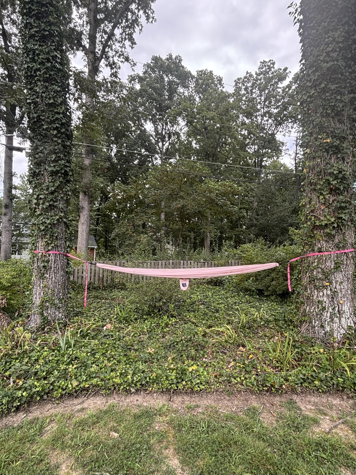 Gold Armour Camping Hammock - XL Double Hammock Portable Hammock Camping Accessories Gear for Outdoor Indoor with Tree Straps, USA Based Brand customer photo 2