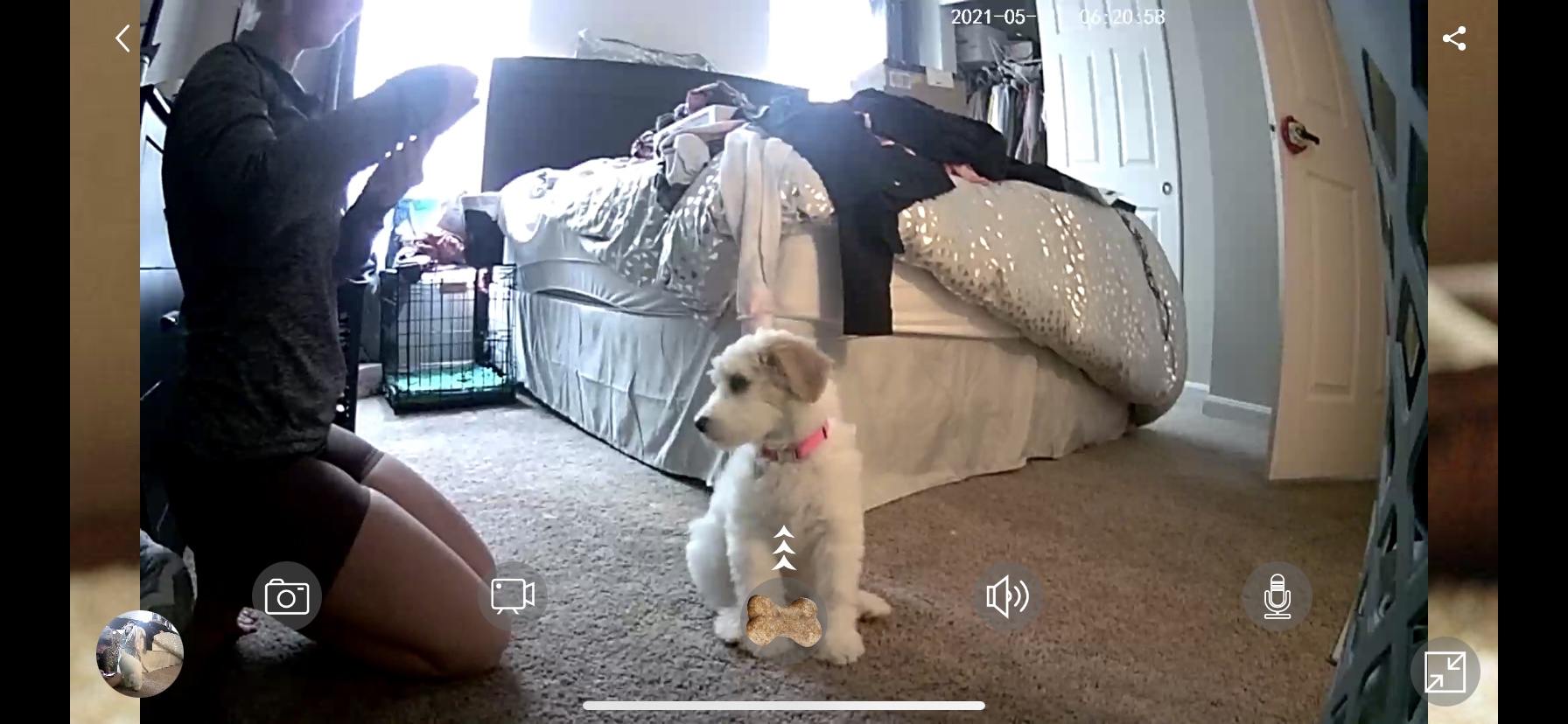 Dog Camera Treat Dispenser,WiFi Full HD Pet Camera with Two-Way Audio and Night Vision,Compatible with Alexa (2.4G WiFi ONLY) (Petalk AI) customer photo 2