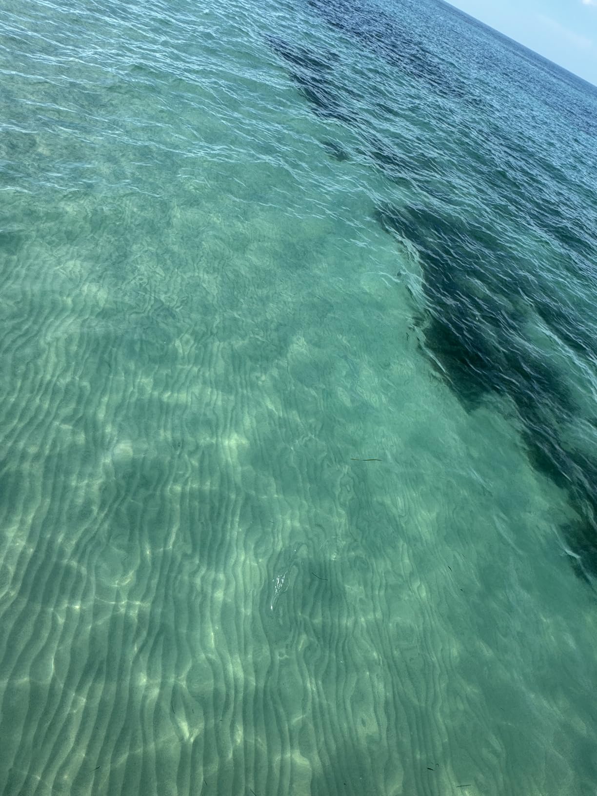 Greatever Dry Snorkel Set,Panoramic Wide View Anti-Fog Scuba Diving Mask,Professional Snorkeling Gear for Adults Kids customer photo 1