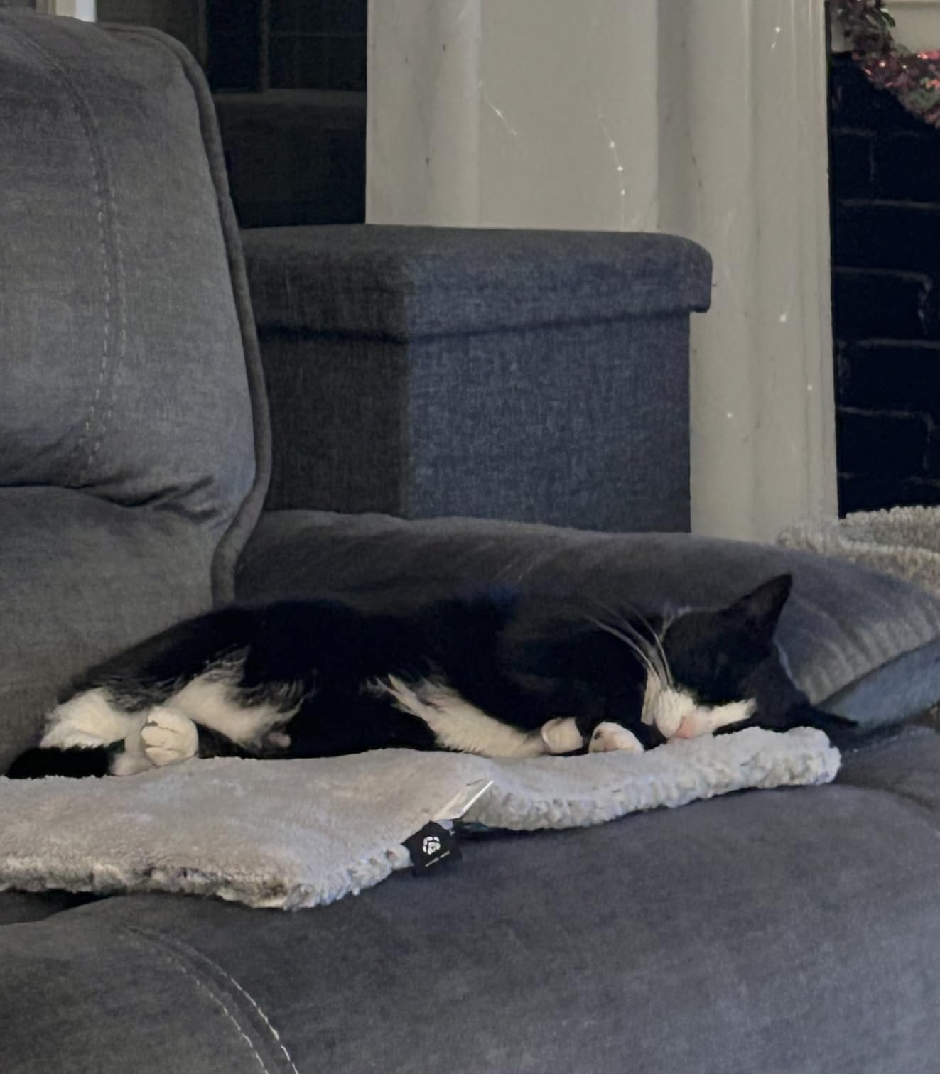 Self Heating Cat Pad Self Warming Bed 27.5