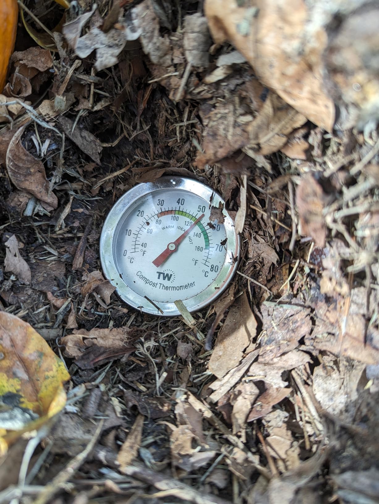 Compost Thermometer Stainless Steel Dial - Ideal Composting Soil Thermometer with 50MM Diameter C and F Dial and 295MM Compost Temperature Gauge Probe customer photo 1