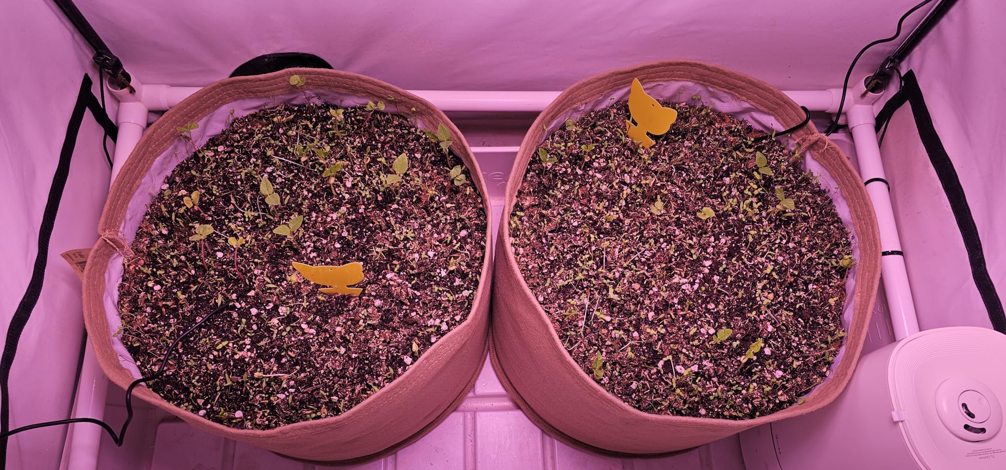 ECOWITT WH51 Soil Moisture Sensor Soil Humidity Tester - Accessory Only, Can Not Be Used Alone customer photo 2