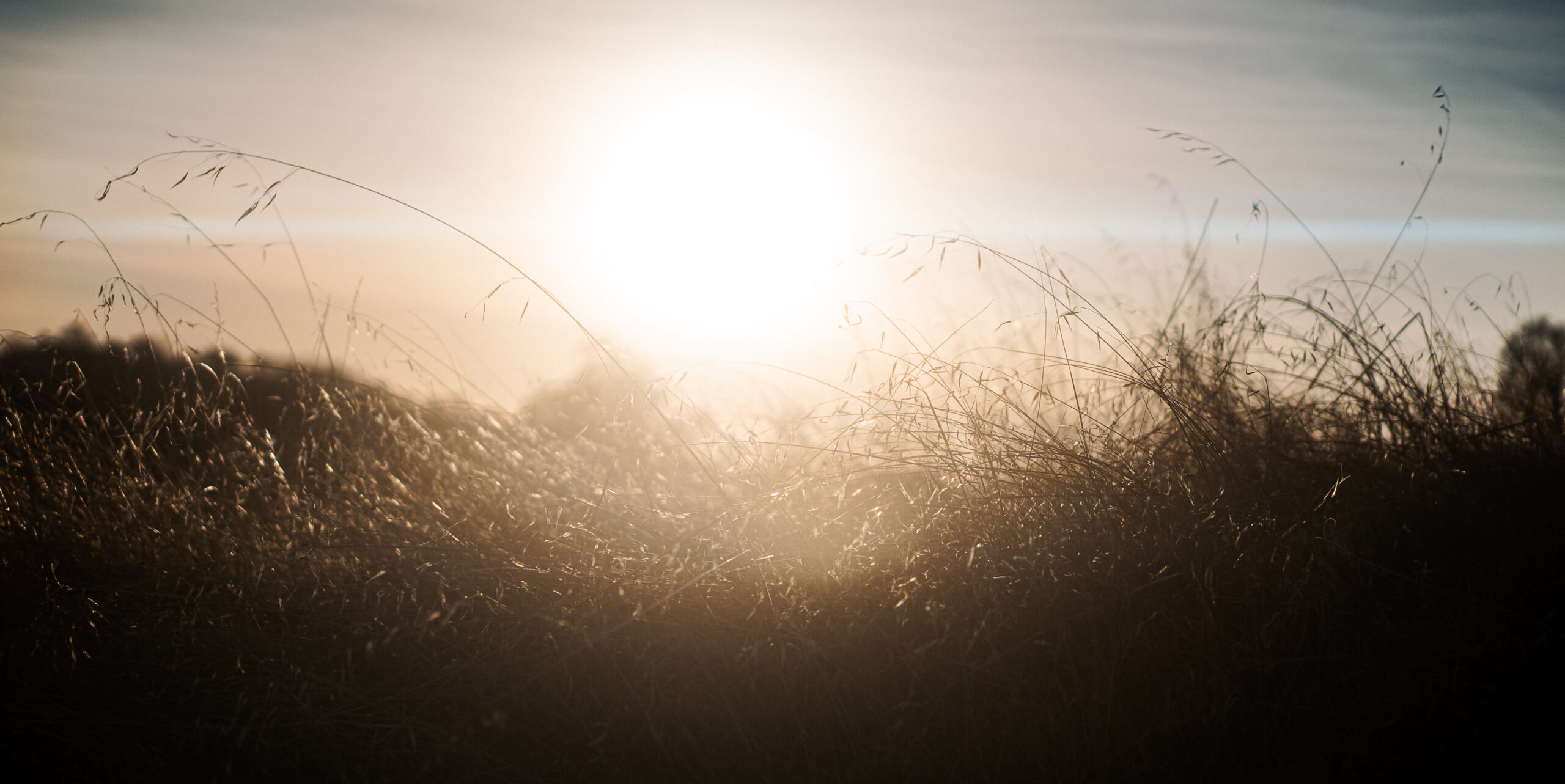 SIRUI 50mm F1.8 1.33X APS-C Anamorphic Lens for E Mount, Blue Flare customer photo 2