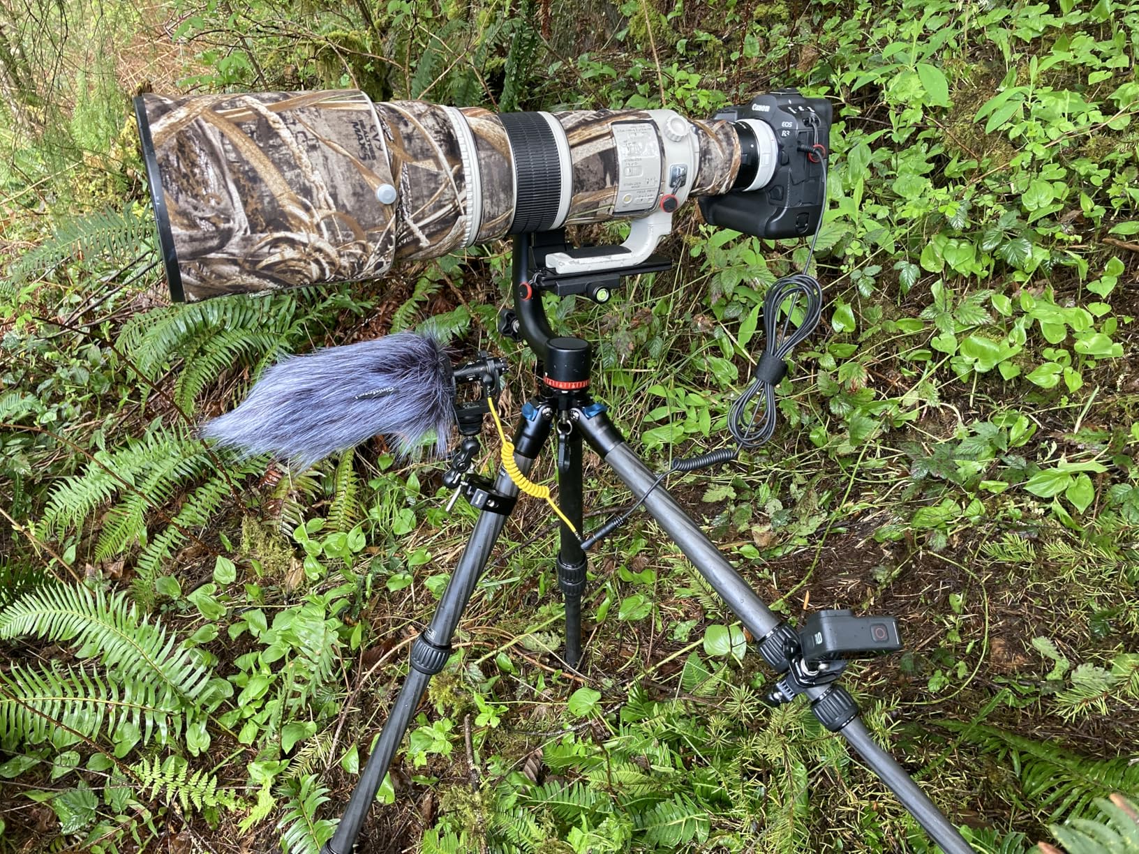 SIRUI AM-284 Carbon Fiber Tripod for Travel, Professional Camera Tripod with 4-Section Legs, Twist Leg Locks, Detachable Metal Spikes, Loads up 33LB, Max Height 47.2