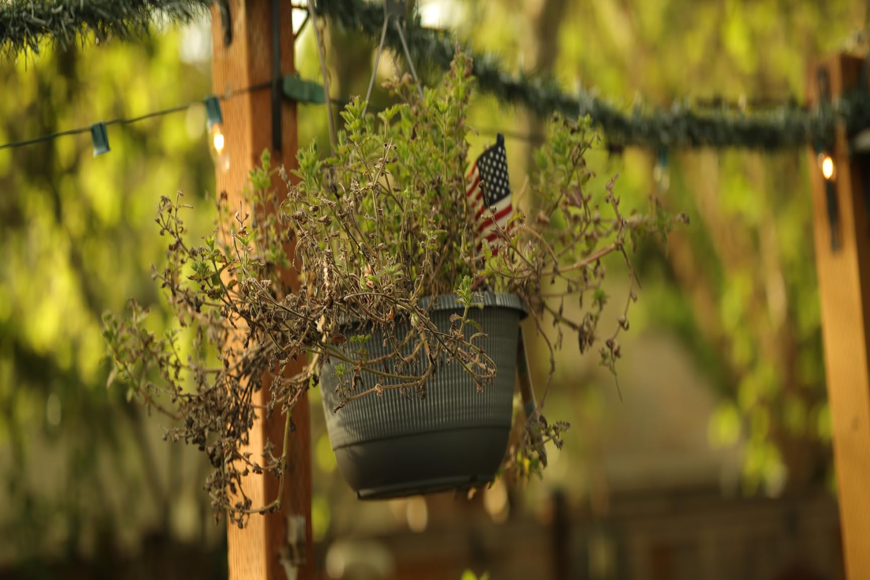 SIRUI 75mm F1.8 1.33X APS-C Anamorphic Lens for E Mount, Blue Flare customer photo 1