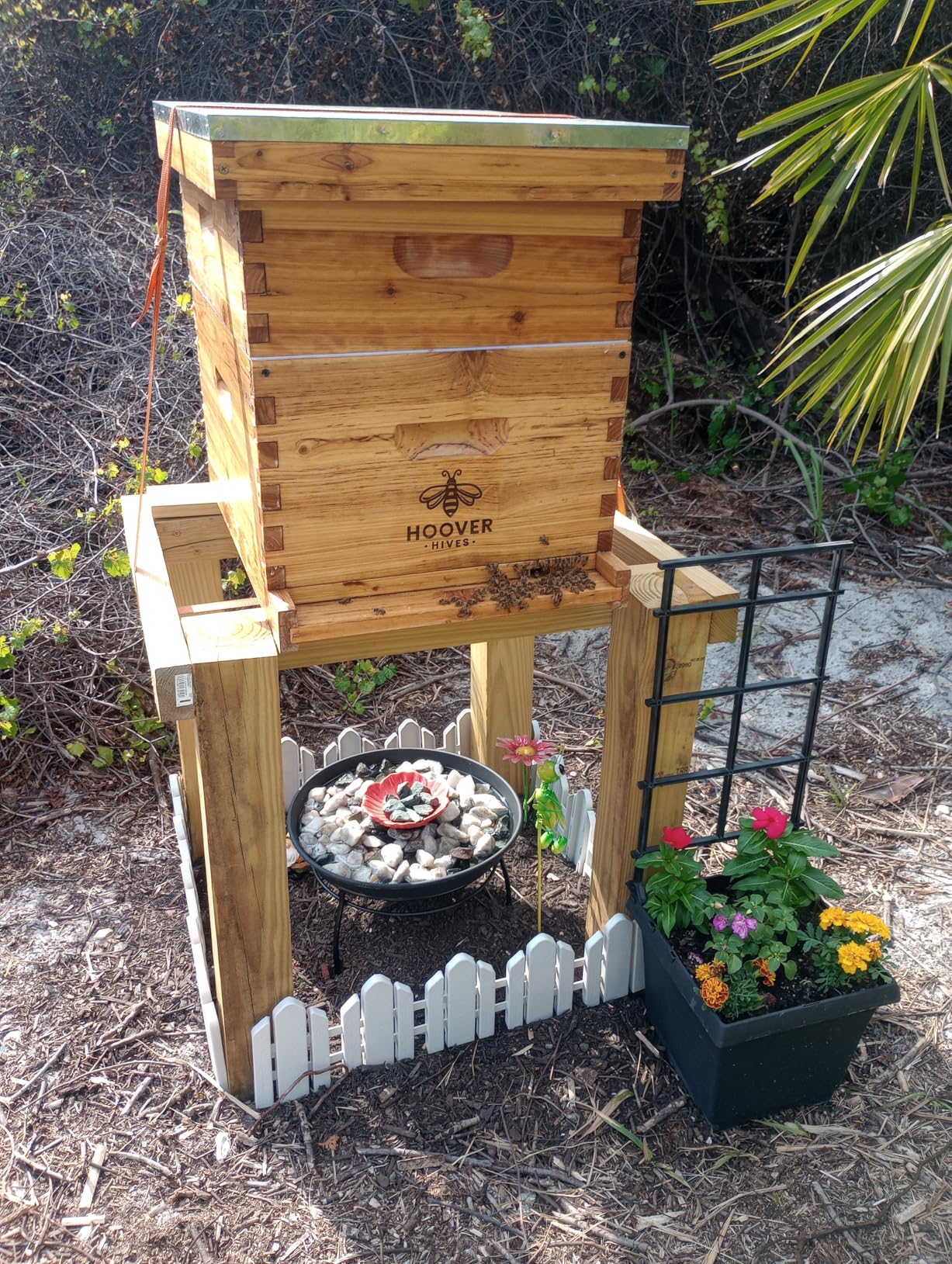 Hoover Hives: The Original Beeswax Coated Beehive Kit. Includes 2 Deep & 1 Medium Boxes with 10 Wooden Frames & Heavy Wax Coated Foundations. Easy Assembly with Predrilled Holes& Screws (Unassembled) customer photo 2