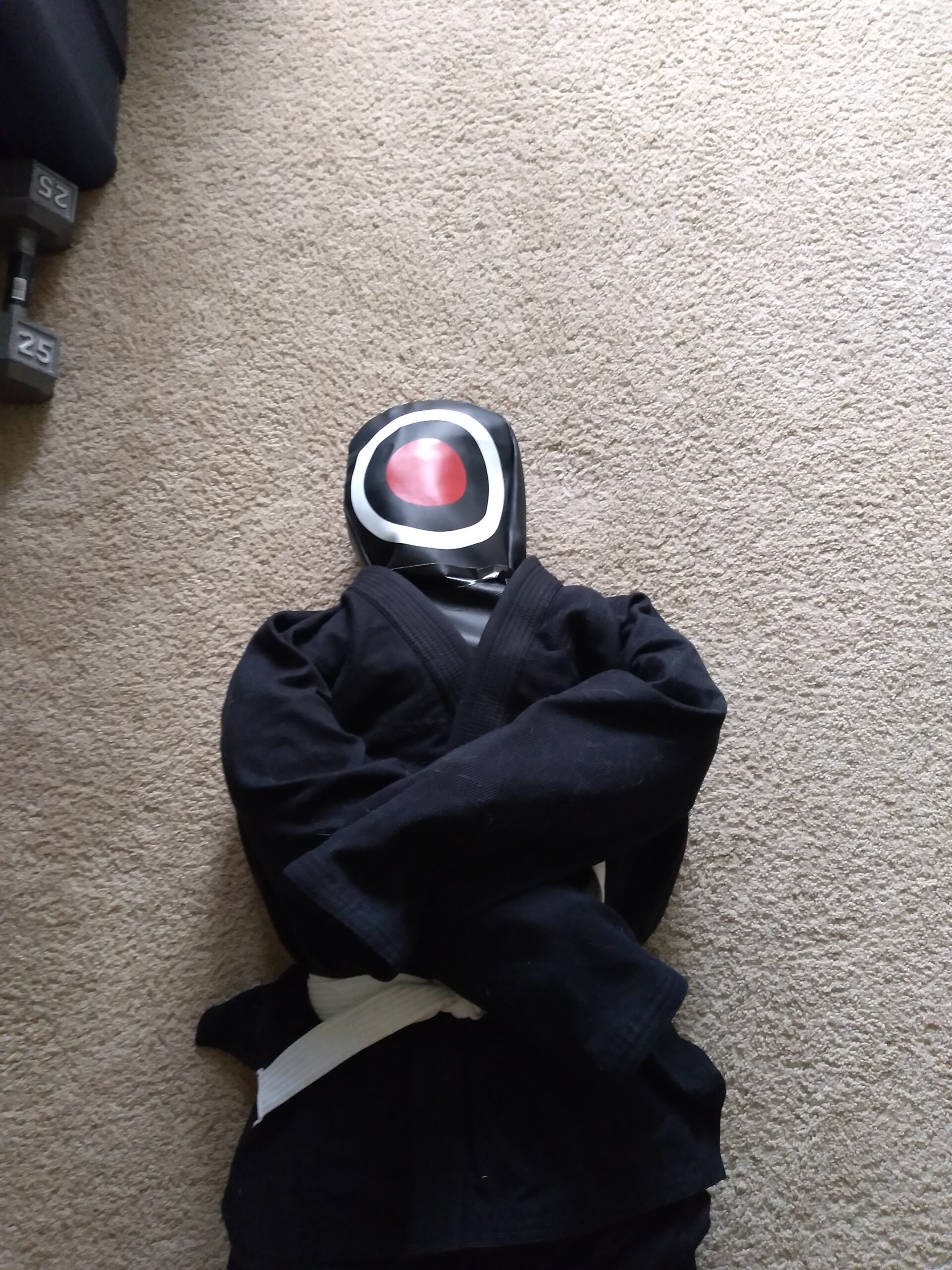 DEFY Vinyl Jiu Jitsu MMA Grappling Dummy Judo Martial Arts Punching Bag Karate customer photo 2