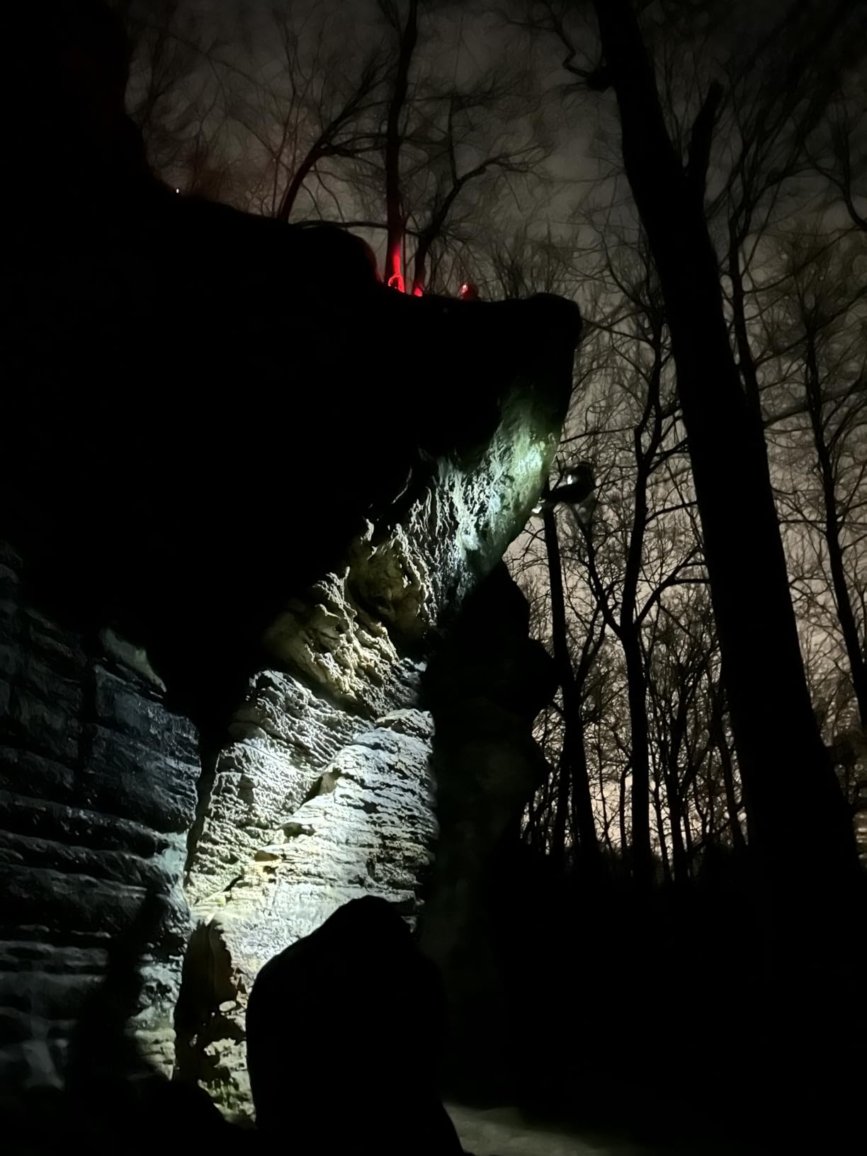 PETZL GriGri 2019 Climbing Belay Device - Gray customer photo 1