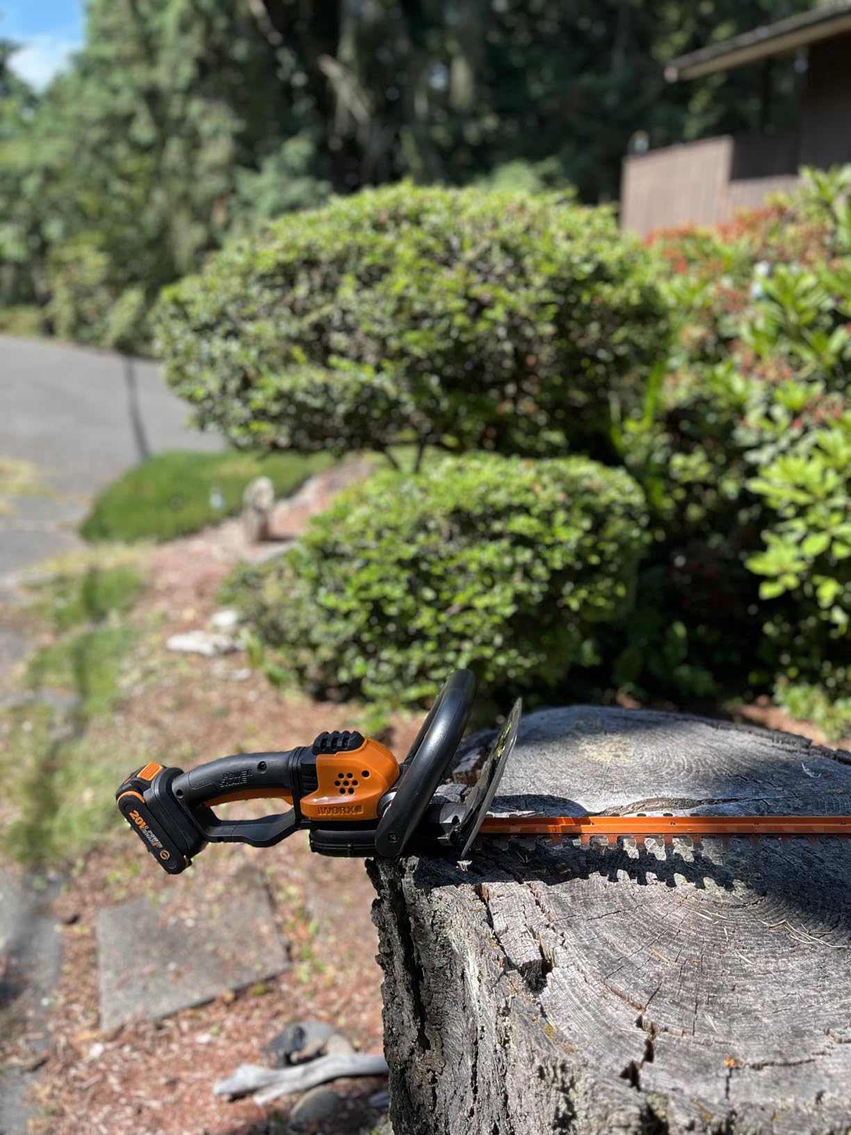 WORX 22 inch Cordless Hedge Trimmer, Electric Hedge Trimmer with Dual-Action Blades, Lightweight Bush Trimmer with 5.5 LBS, Battery & Charger Included, WG261 customer photo 1