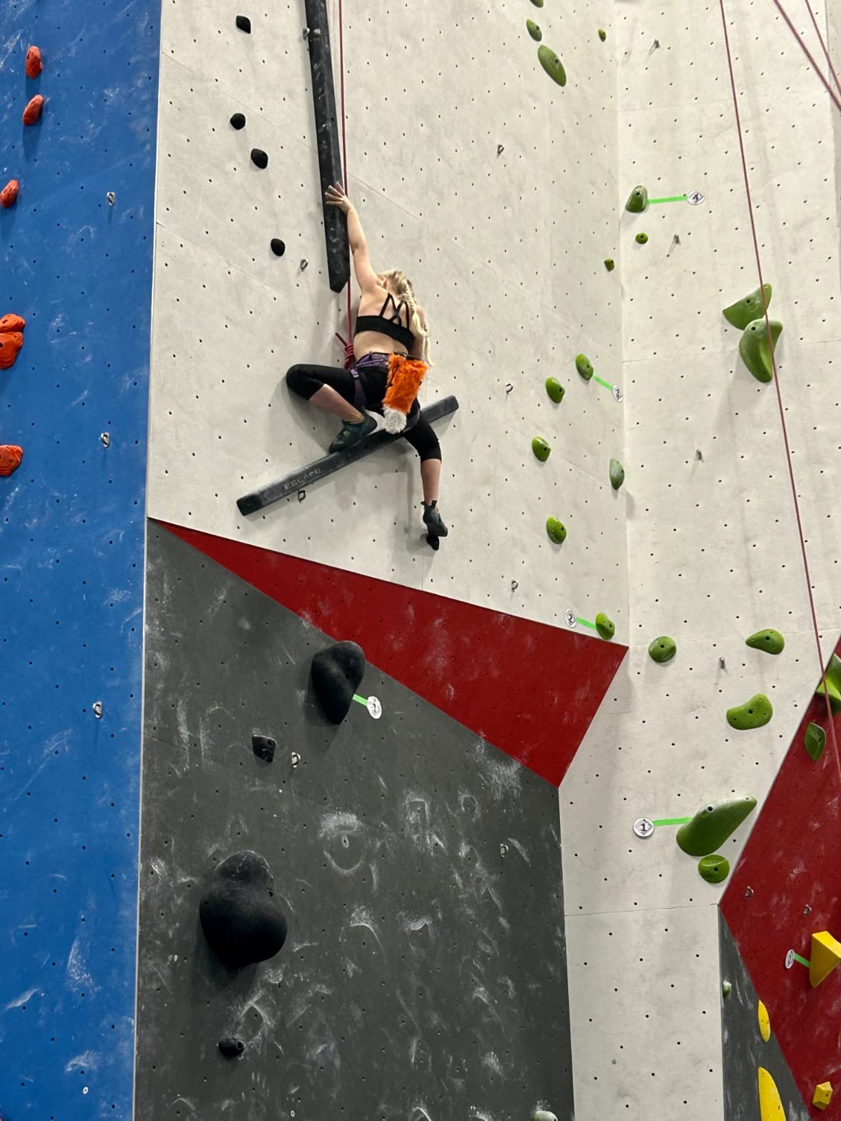 PETZL MACCHU Kids' Climbing Harness - Adjustable Seat Harness for Children Less Than 40kg / 88 lbs customer photo 2