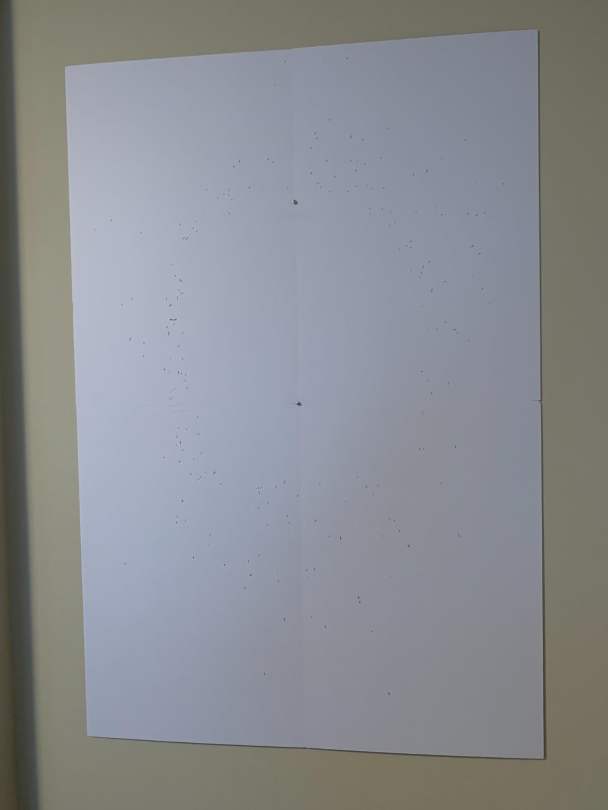 Viper 850 Electronic Soft Tip Dartboard, 15.5 in Regulation Target, 50 Games, 6 Darts Included, Black customer photo 1