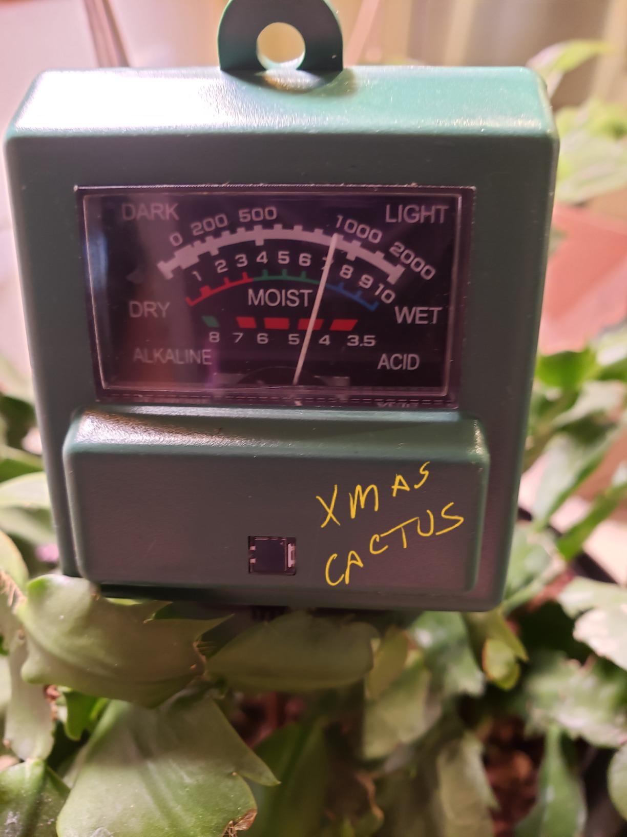 Kensizer Soil Tester, Soil Moisture/pH Meter, Gardening Farm Lawn Test Kit Tool, Digital Plant Probe, Water Hydrometer for Indoor Outdoor, No Battery Required customer photo 1