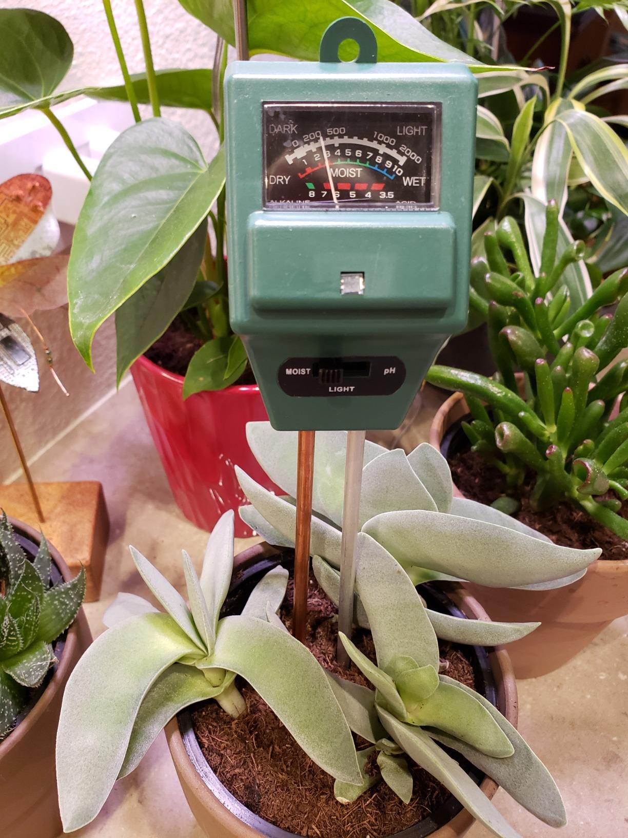 Kensizer Soil Tester, Soil Moisture/pH Meter, Gardening Farm Lawn Test Kit Tool, Digital Plant Probe, Water Hydrometer for Indoor Outdoor, No Battery Required customer photo 2