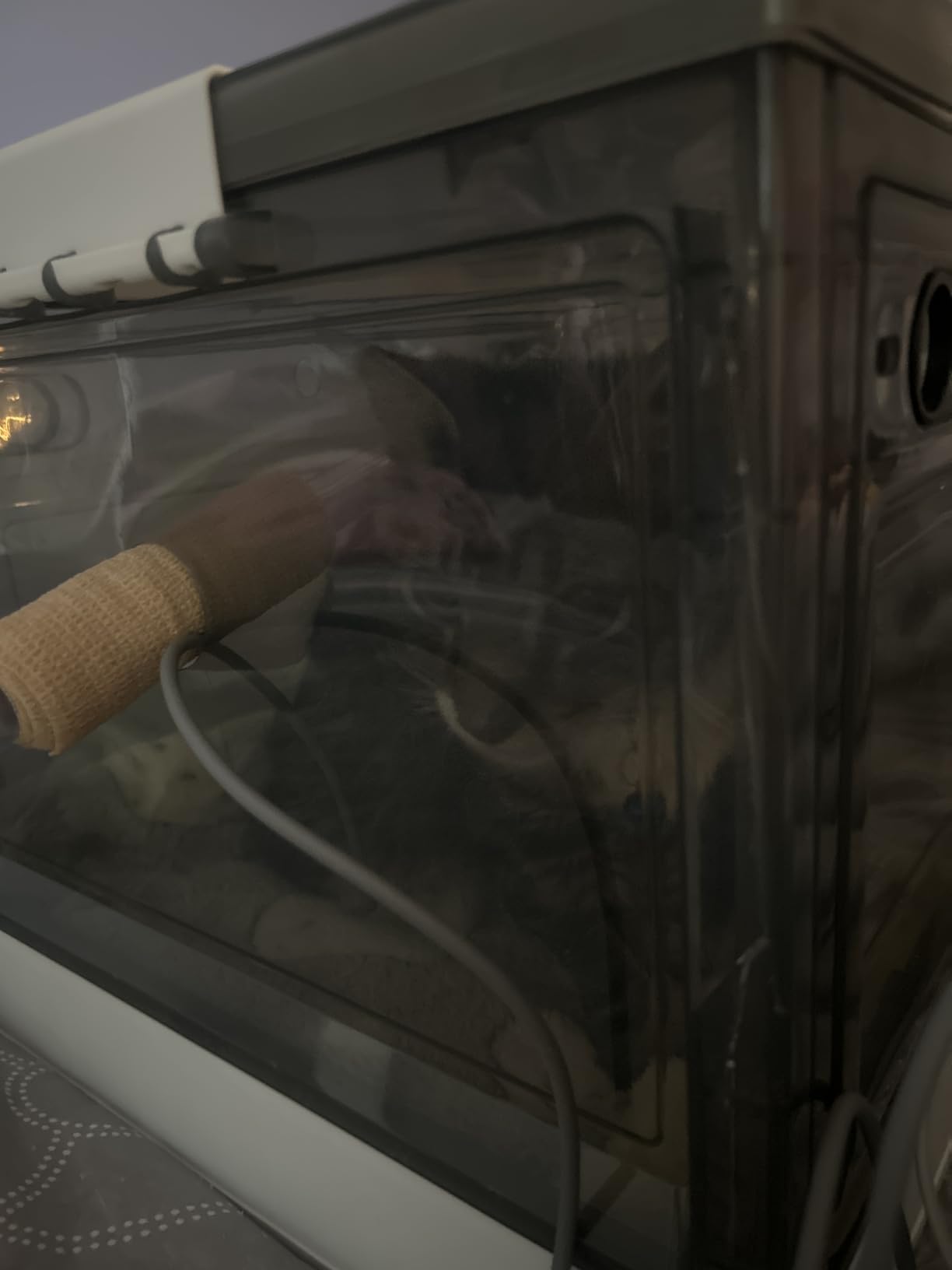 Vet Handheld Pulse Oximeter - Professional for Dogs/Cats/Horses SPO2, Heart Rate, Temperture - Rechargeable Battery (30-Day Guarantee) customer photo 1