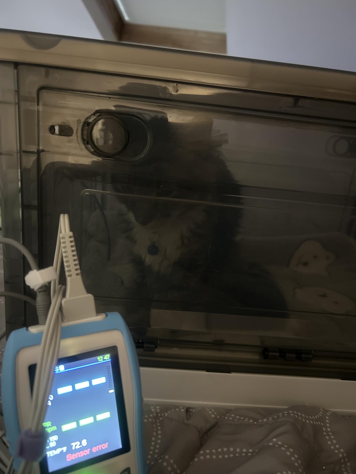 Vet Handheld Pulse Oximeter - Professional for Dogs/Cats/Horses SPO2, Heart Rate, Temperture - Rechargeable Battery (30-Day Guarantee) customer photo 2