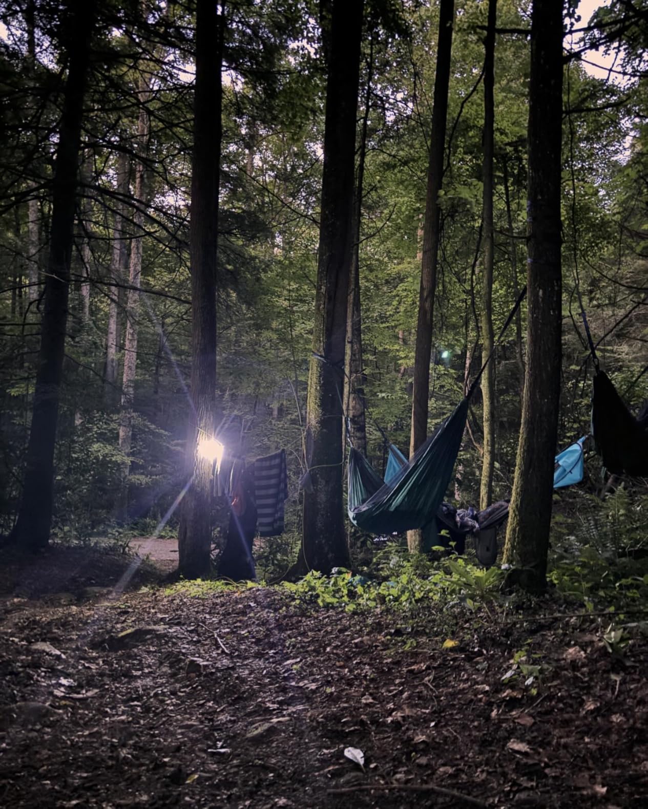 Covacure Camping Hammock - 772lbs Capacity Double Hammock with Tree Straps, Lightweight Parachute Nylon Outdoor Survival Gear for Hiking, Backpacking, Travel or Backyard customer photo 2