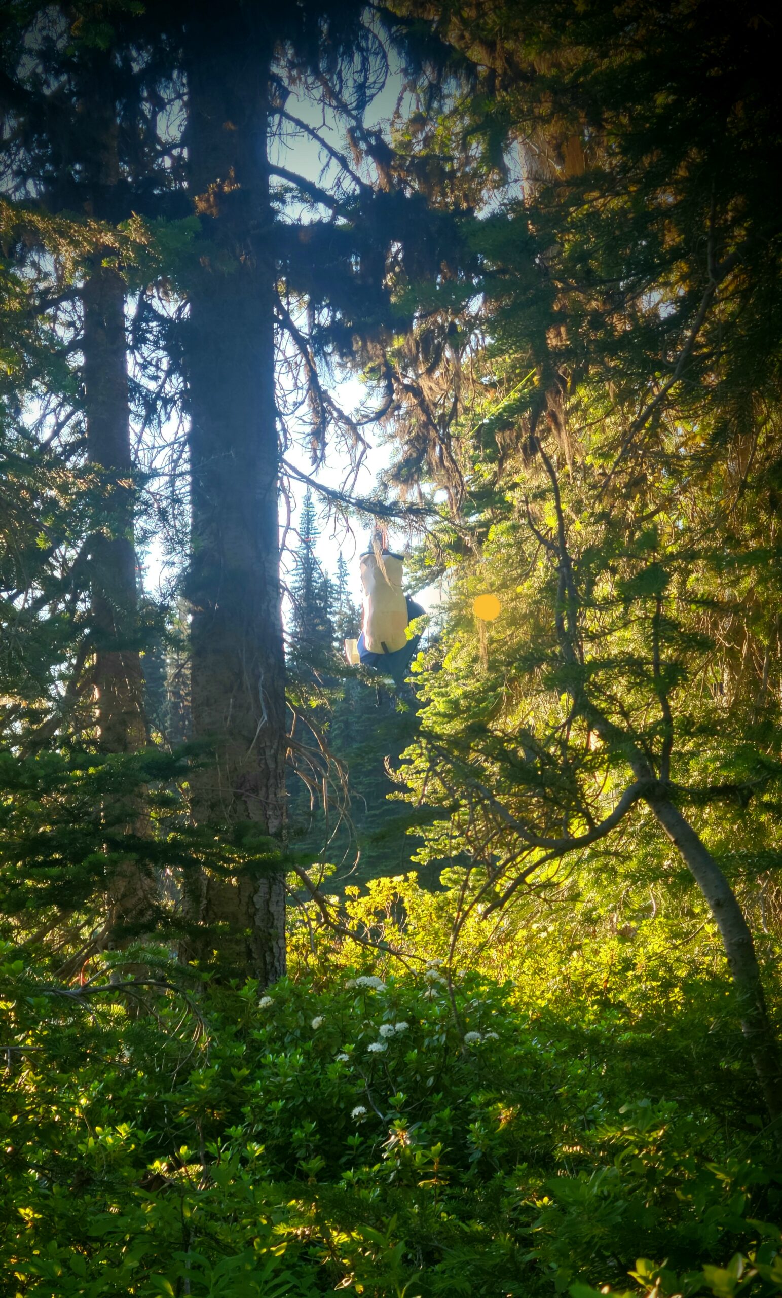 Ultralight Bear Bag Food Hanging System for Camping & Hiking - Waterproof Food Bag with Easy 2-to-1 Pulley, Paracord Ropes, Rock Sok, Carabiners & Instructions customer photo 2