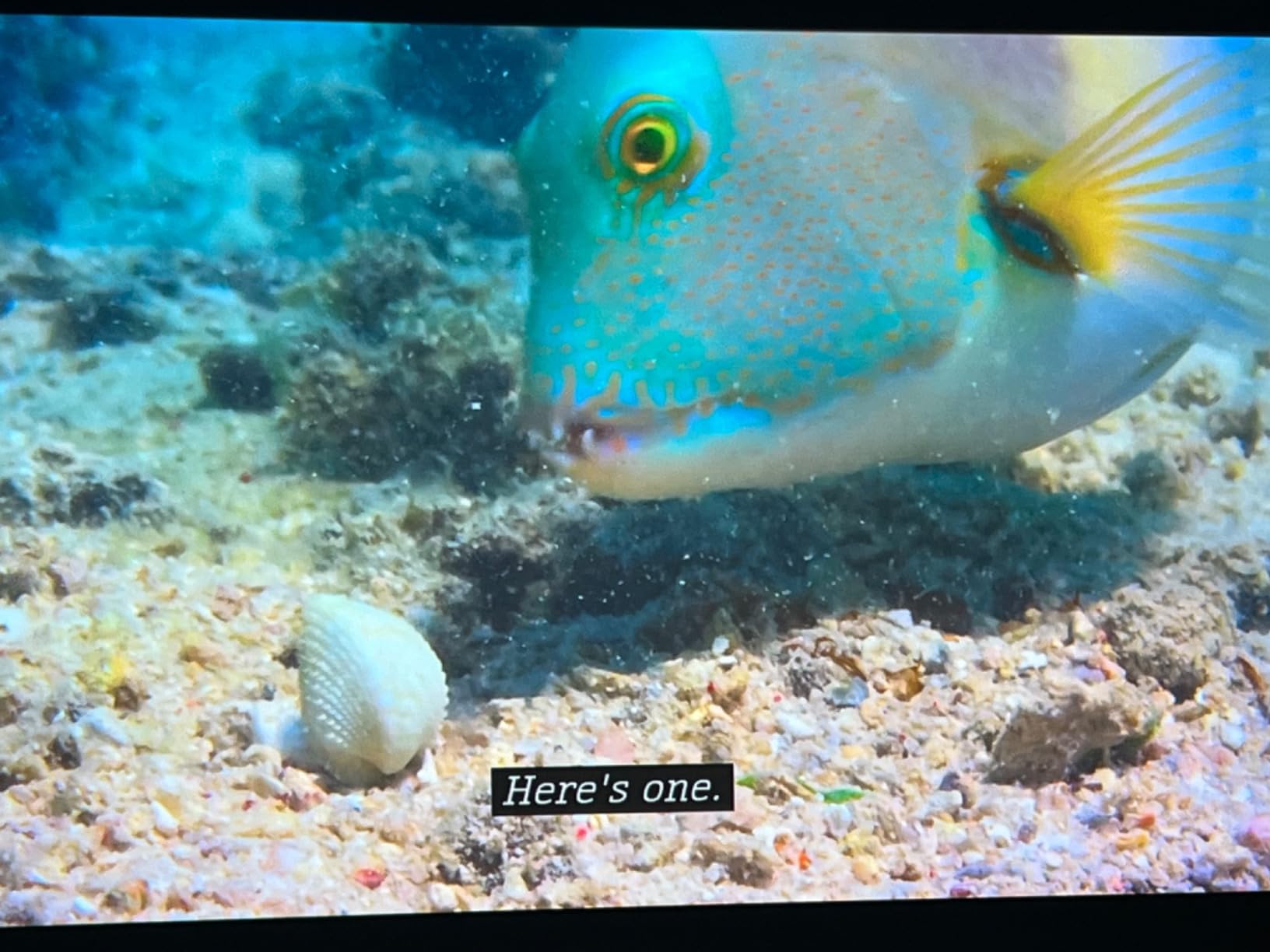 Epson Home Cinema 5050UB 4K PRO-UHD 3-Chip Projector with HDR customer photo 2