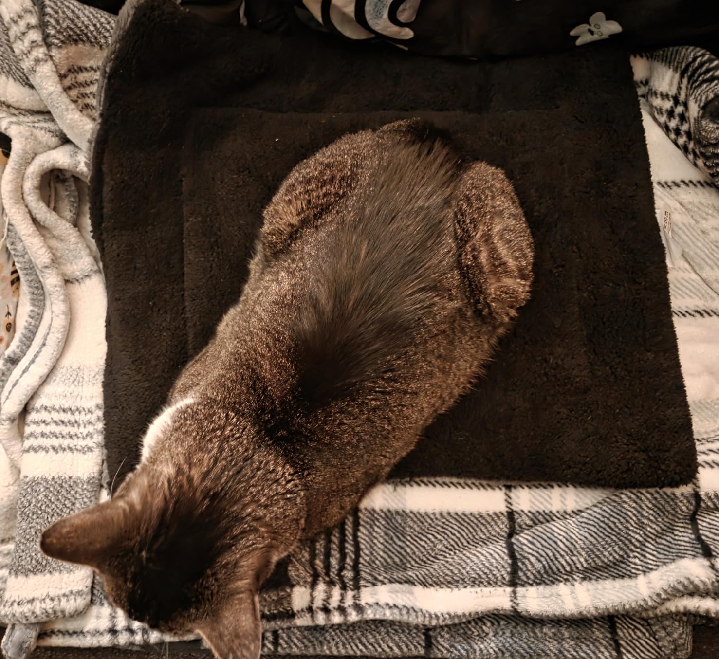 K&H PET PRODUCTS Self-Warming Cat Bed Pad, Self Heating Pad for Outdoor Cat Houses, Warming Mat for Indoor Pet Beds & Furniture, Reversible Blanket, Machine Washable - Small 21 X 17in Gray/ Black customer photo 1