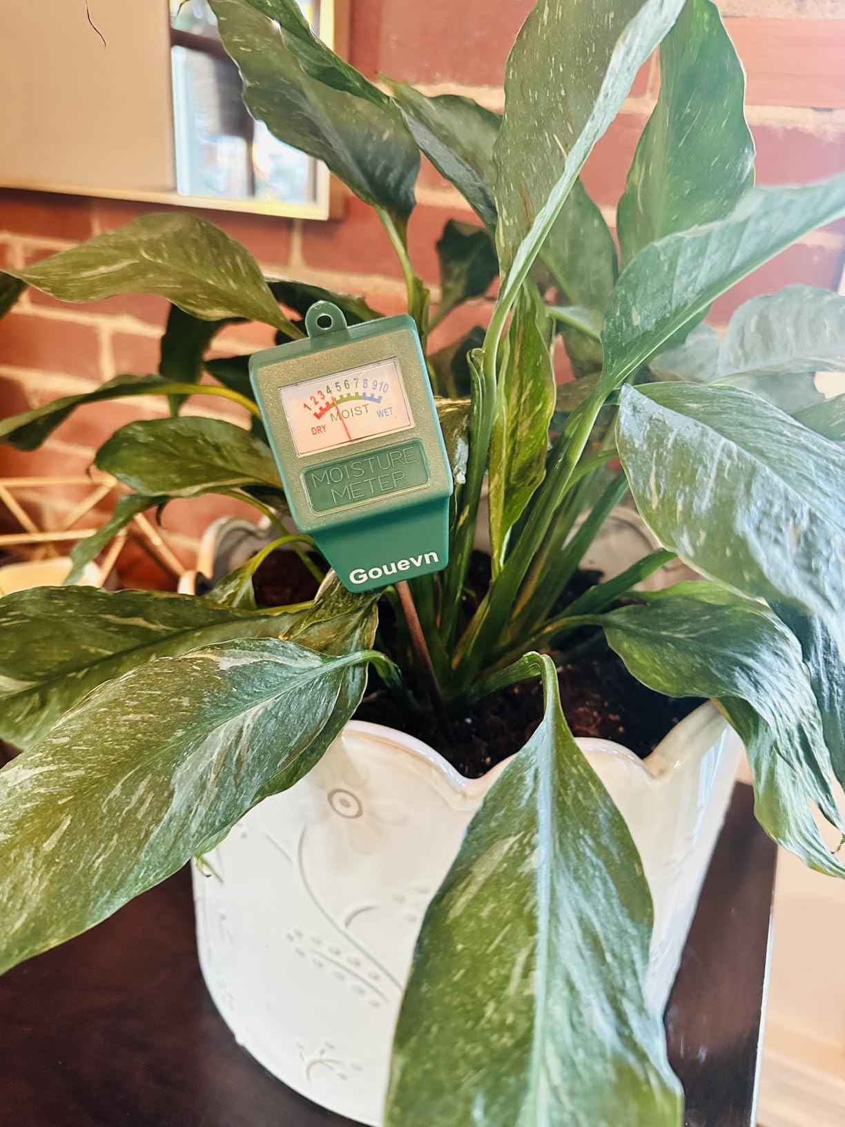 Soil Moisture Meter, Plant Moisture Meter Indoor & Outdoor, Hygrometer Moisture Sensor Soil Test Kit Plant Water Meter for Garden, Farm, Lawn (No Battery Needed) customer photo 1