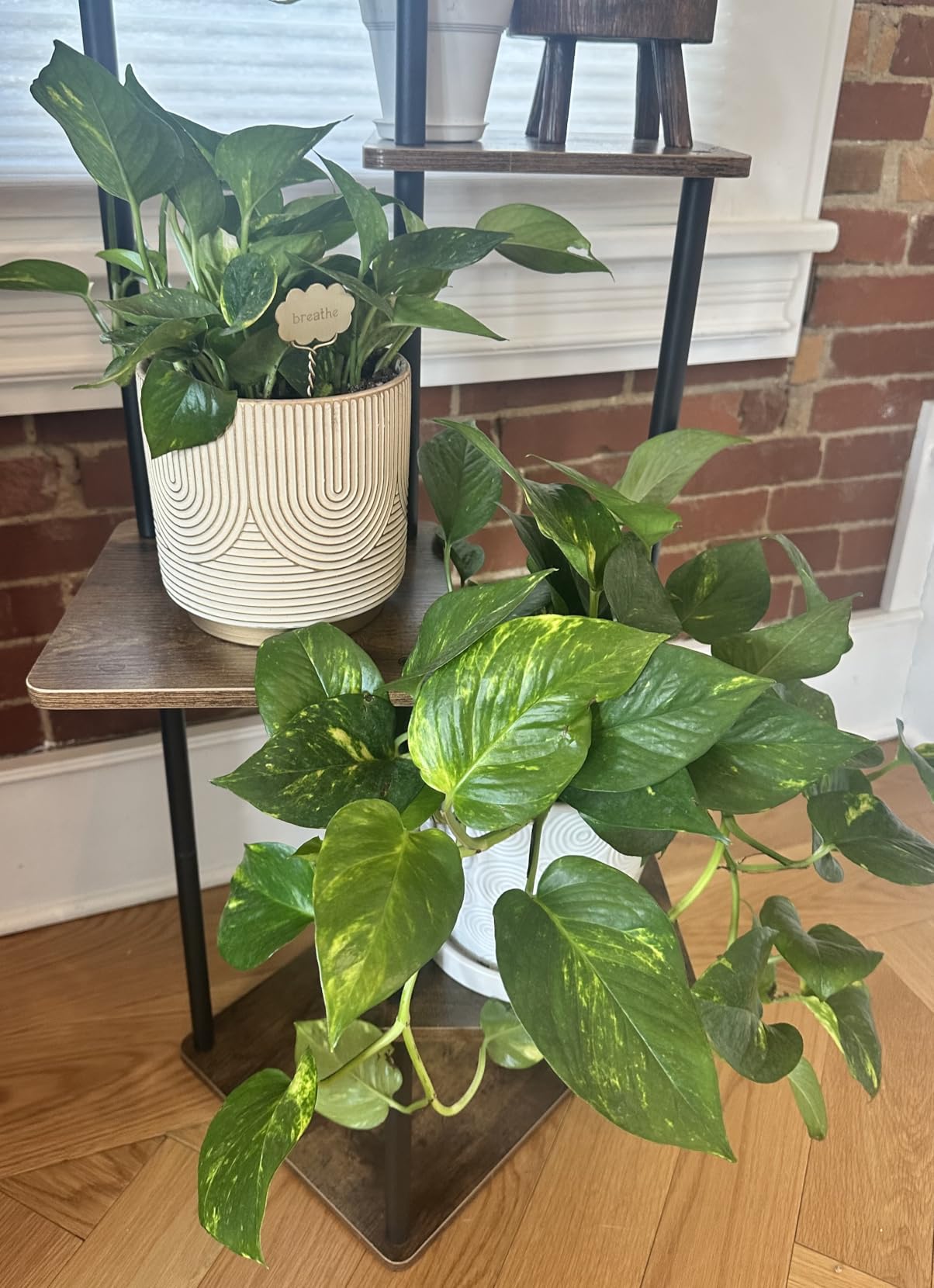 Soil Moisture Meter, Plant Moisture Meter Indoor & Outdoor, Hygrometer Moisture Sensor Soil Test Kit Plant Water Meter for Garden, Farm, Lawn (No Battery Needed) customer photo 2