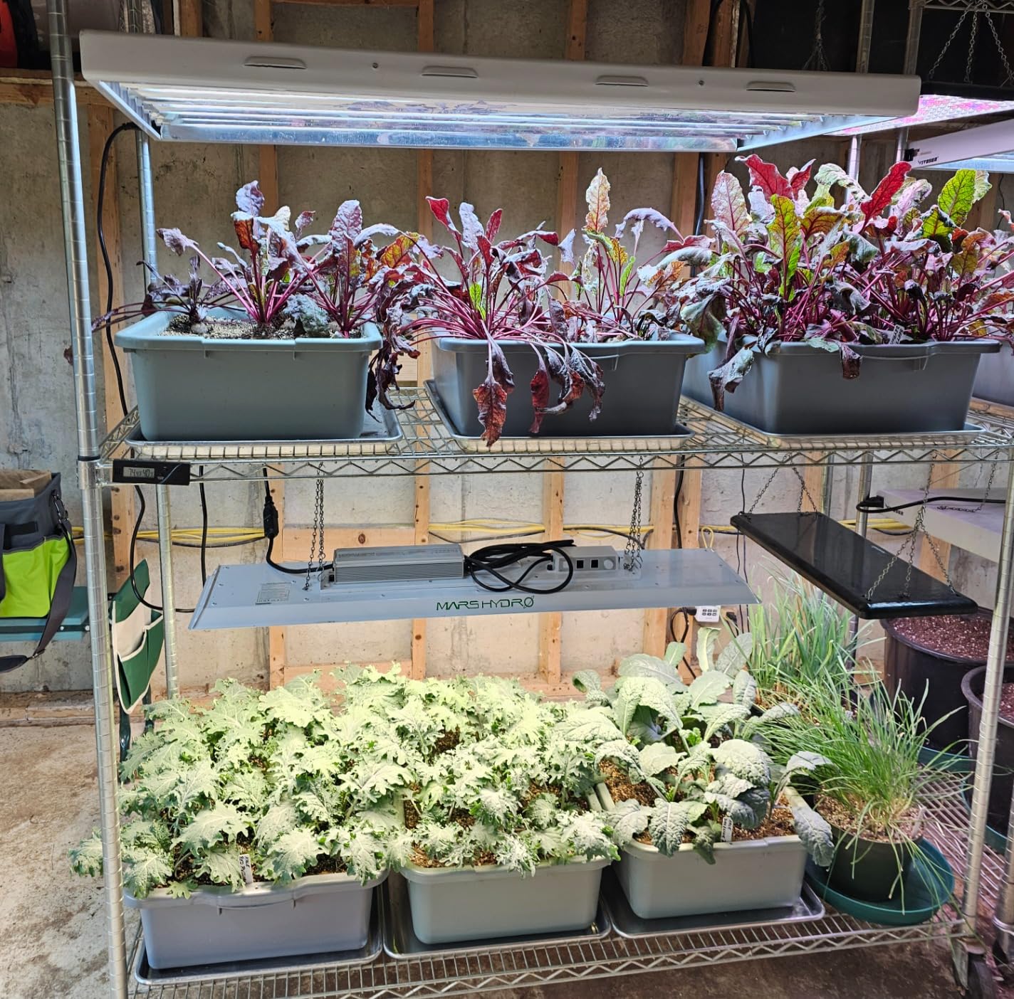 MARS HYDRO TS1000 150W LED Grow Light for Indoor Plants, with Patented Reflector, 5 Levels Dimmable Lights Daisy Chain Full Spectrum Growing Lamps for Seedlings Veg Bloom in 2x2/3x3 Grow Tent customer photo 1