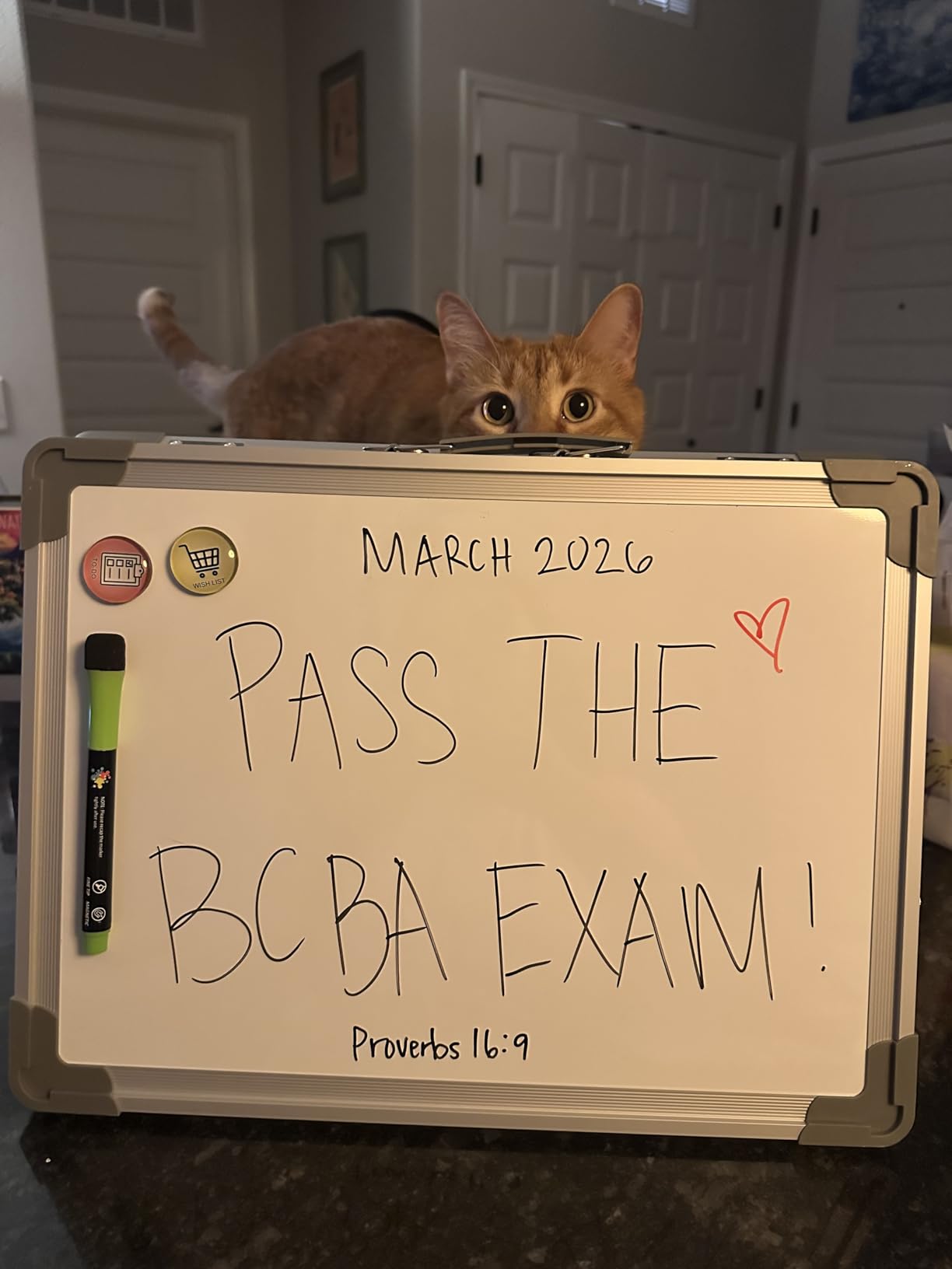 Small Dry Erase White Board - TANKEE Magnetic Desktop Foldable Whiteboard Portable Mini Easel Double Sided on Table Top with Holder for Drawing, Teacher Instruction, Memo Board customer photo 1